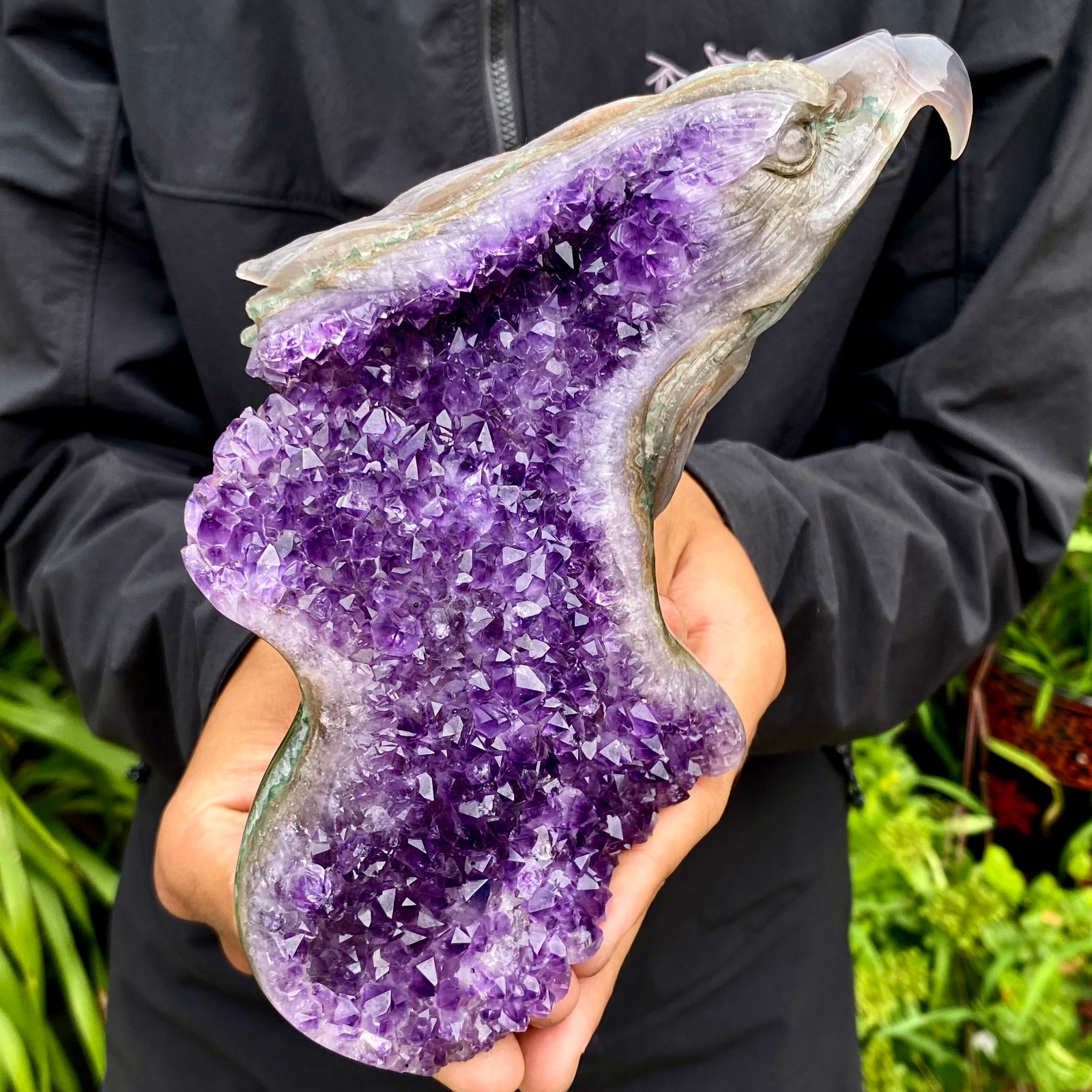 2.2LB Natural Amethyst Agate Geode Hand Carved eagle Quartz Crystal Decor