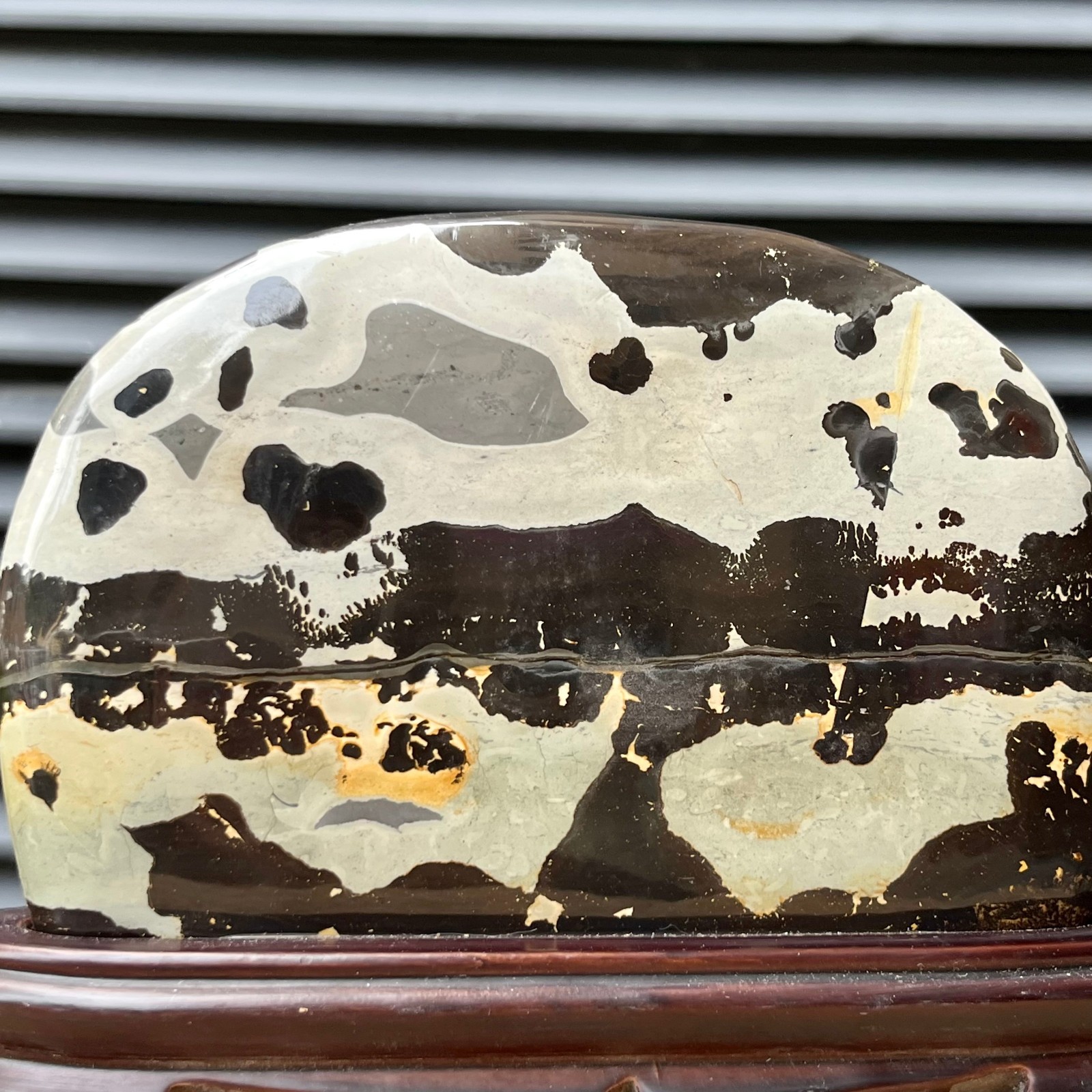 2.5 lb Scenic Stone Natural Pattern Polished Display Art Wood Base