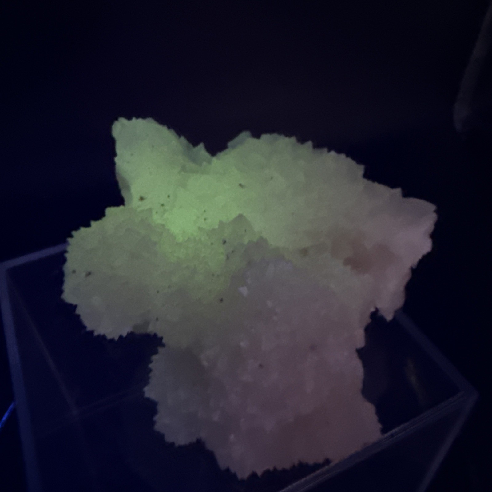 Natural Phosphorescent Honey Dogtooth Calcite Specimen!Amazing Formation! UV👀