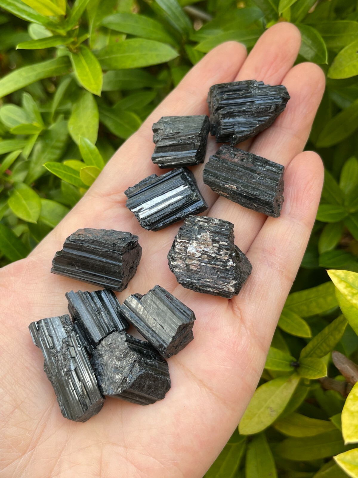 Grade A++ Black Tourmaline Small Raw Natural Stone 0.5″ – 1.25″, Wholesale Bulk