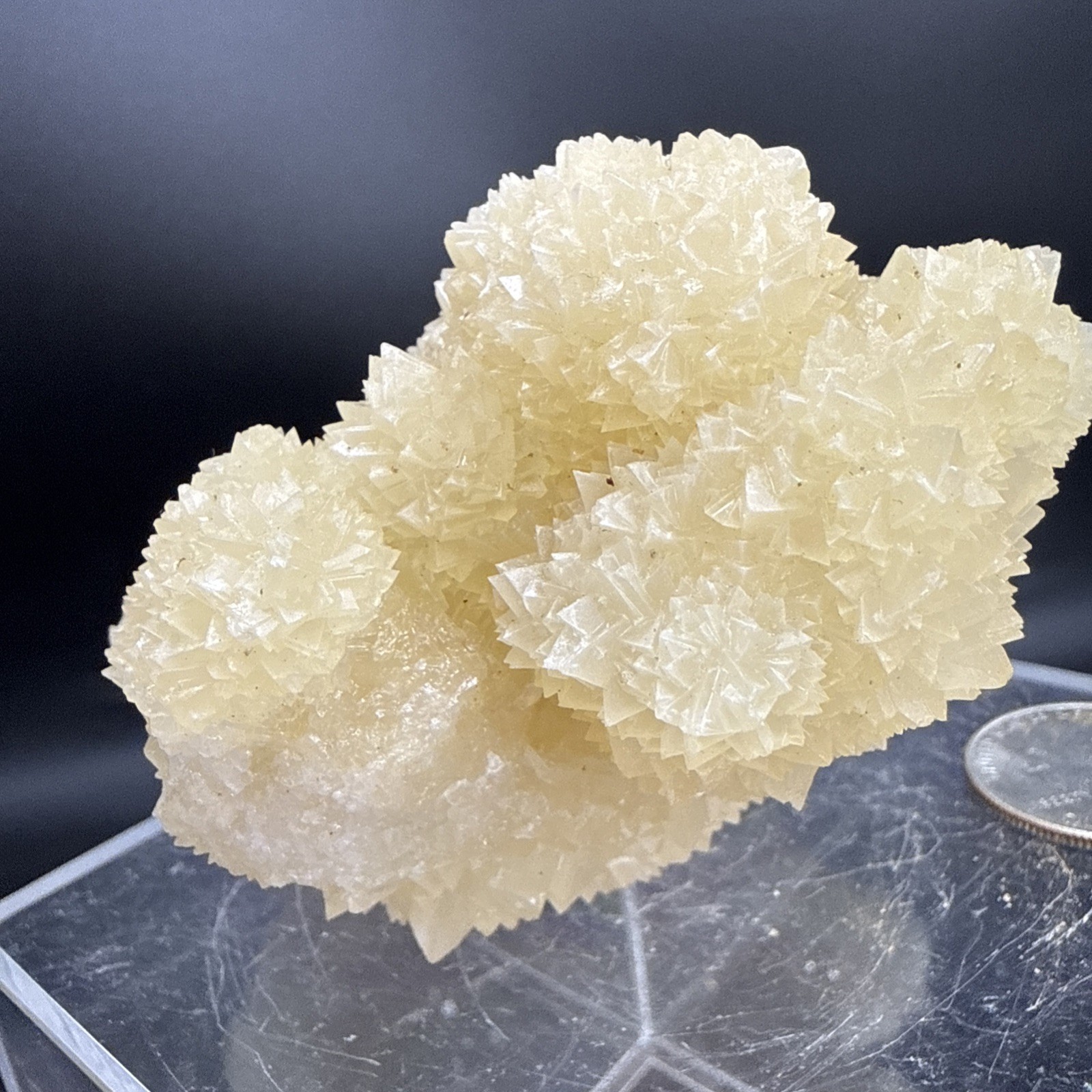 Natural Phosphorescent Honey Dogtooth Calcite Specimen!Amazing Formation! UV👀