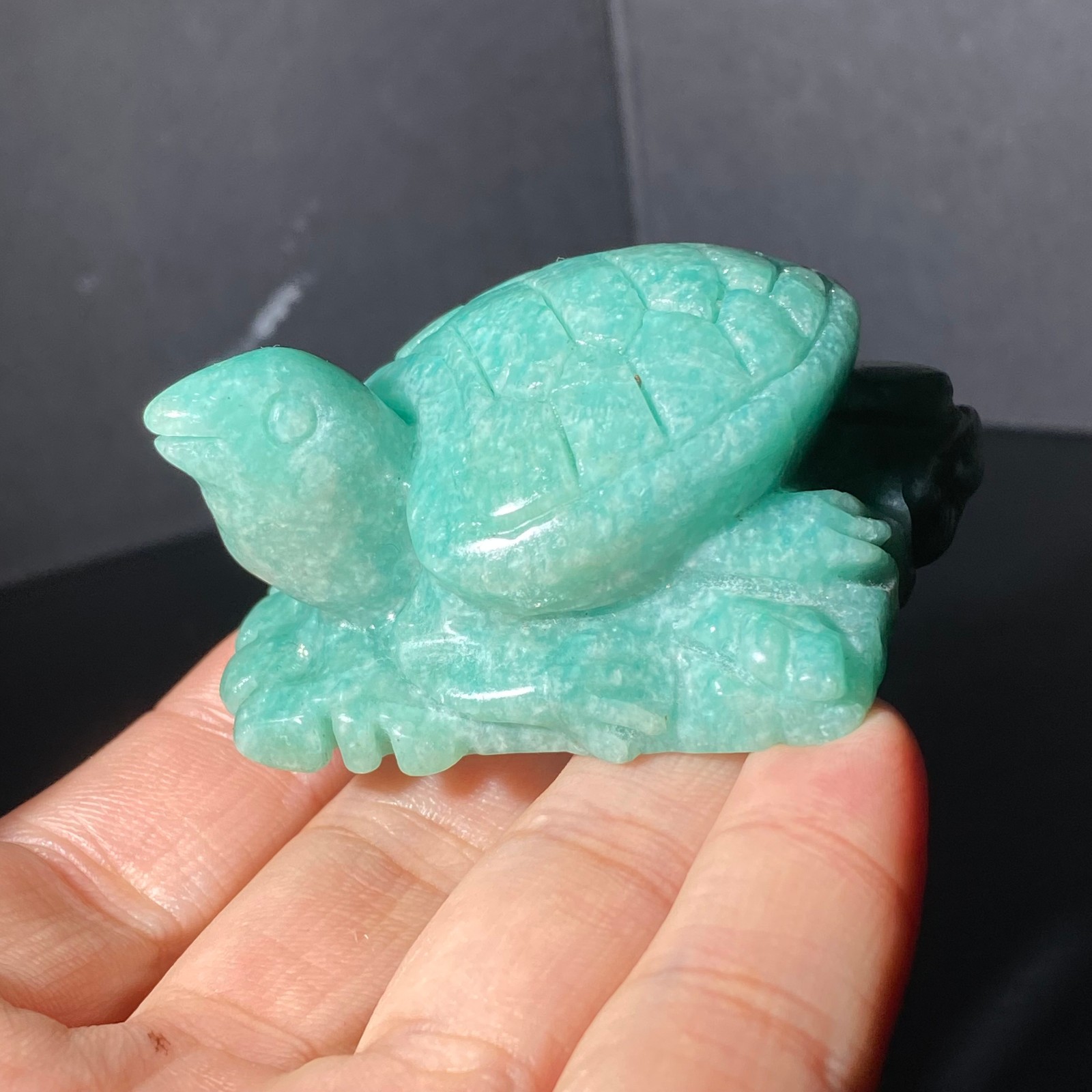 108G Natural Tianhe stone Turtle Quartz Tortoise Carved Crystal Skull Healing