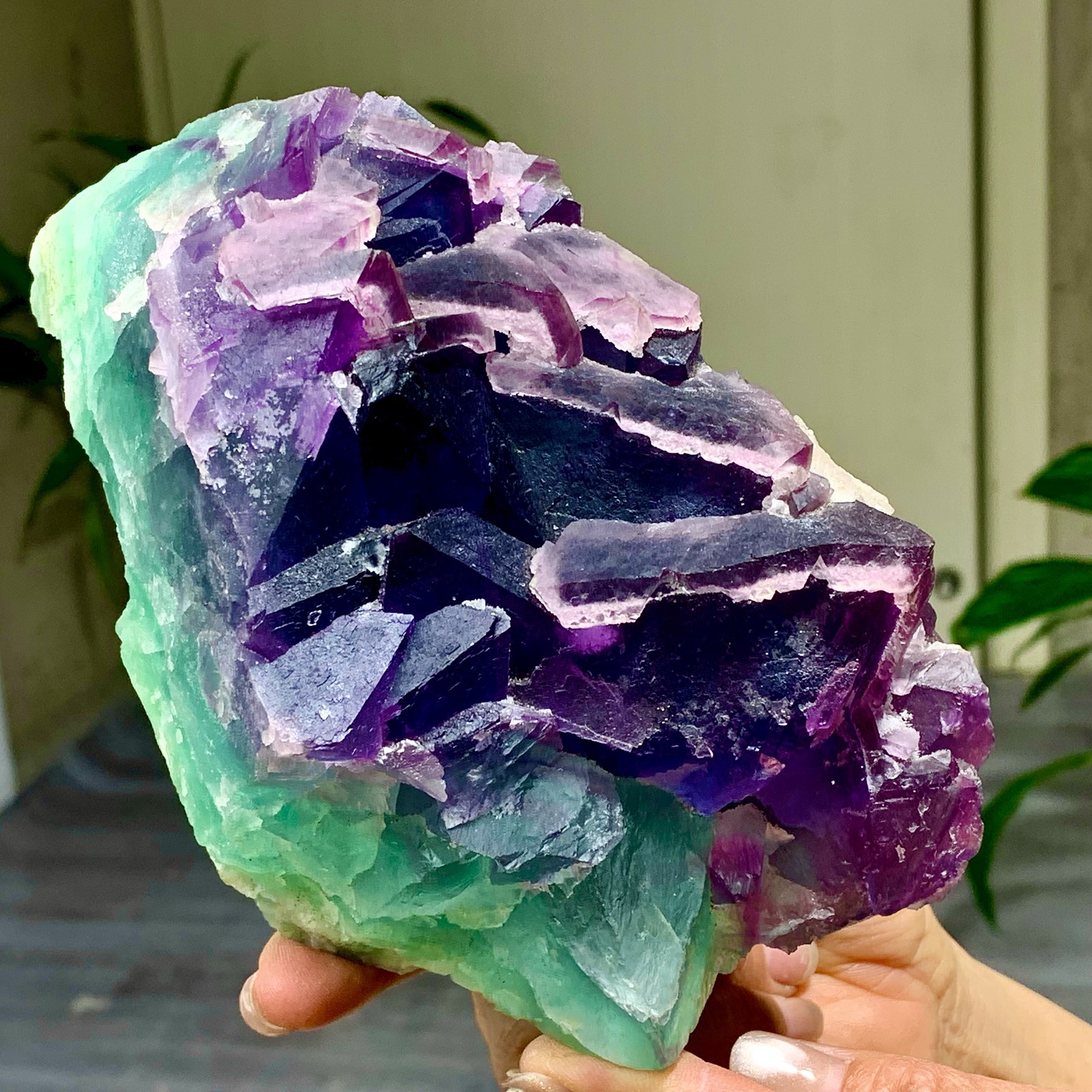 3.49LB Rare transparent purple-green cubic fluorite mineral crystal sample/China