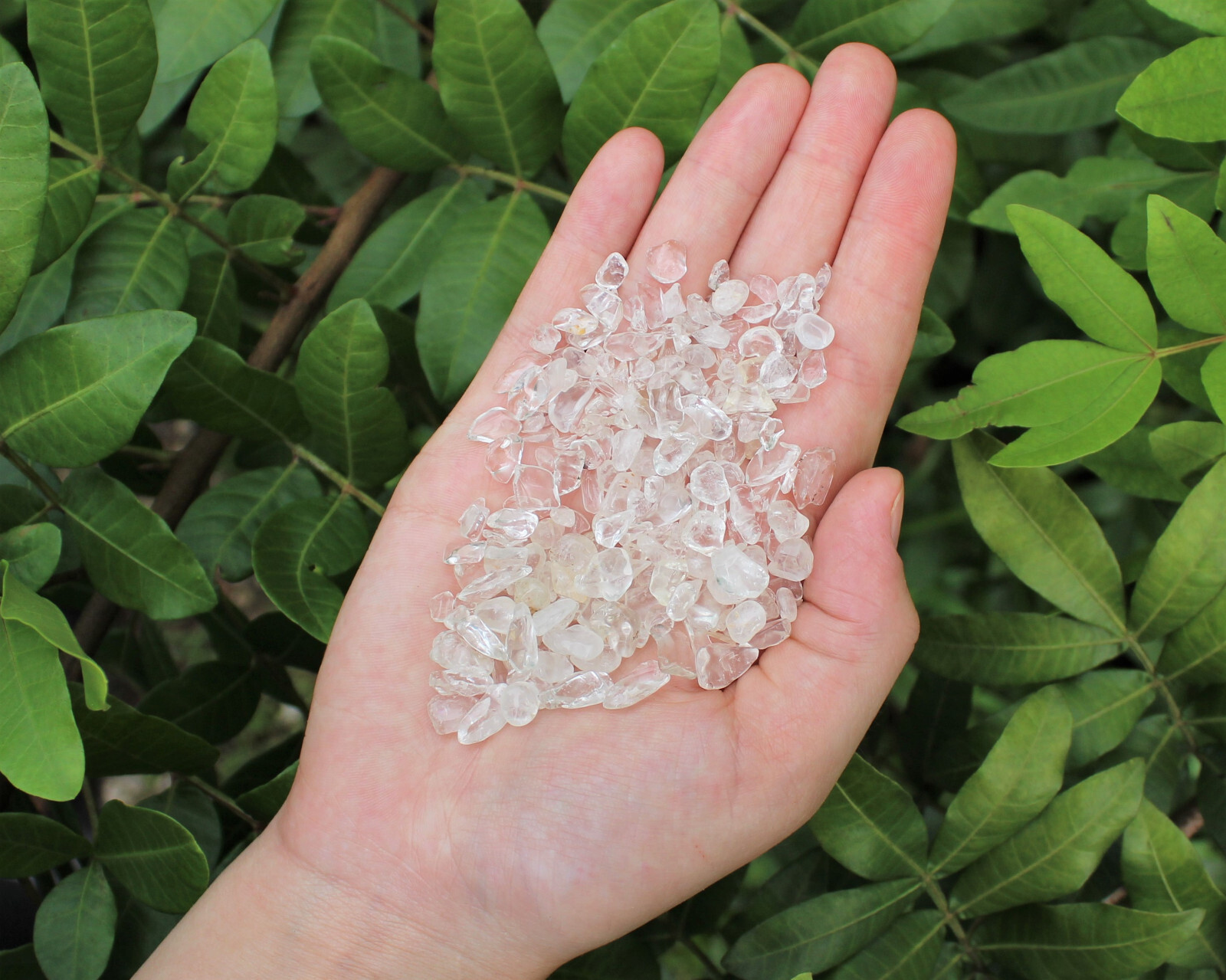 Bulk 5 lb Loose Clear Quartz Semi Tumbled Stones Chips Mini Crystal 5 – 15 mm