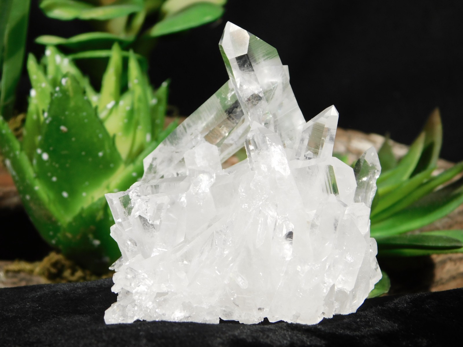TRANSLUCENT Quartz Crystal Cluster From Collier Creek ARKANSAS 107gr