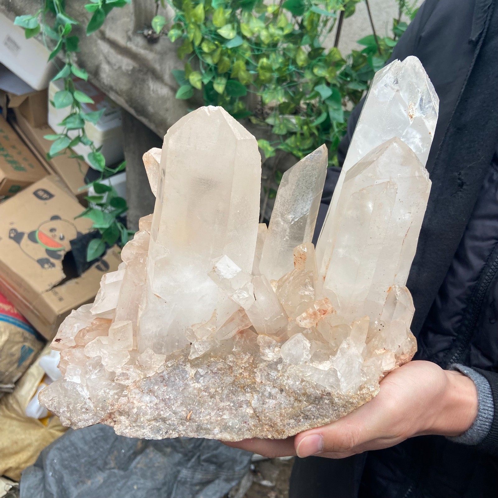29.9lb Natural Clear White Crystal Quartz Cluster Rough Healing Specimen