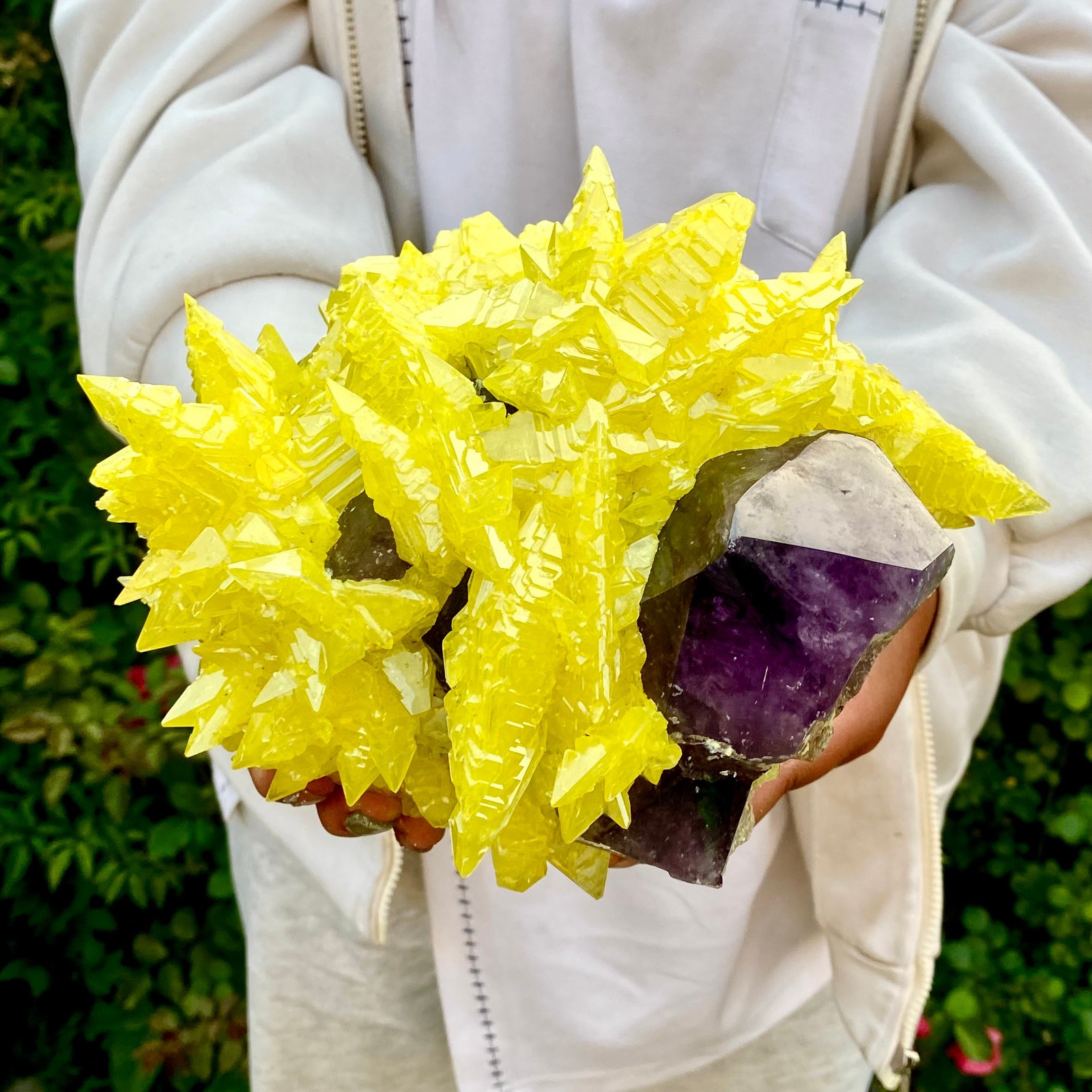 10LB Natural Amethyst & Sulphur Symbiotic Crystal Cluster Specimen