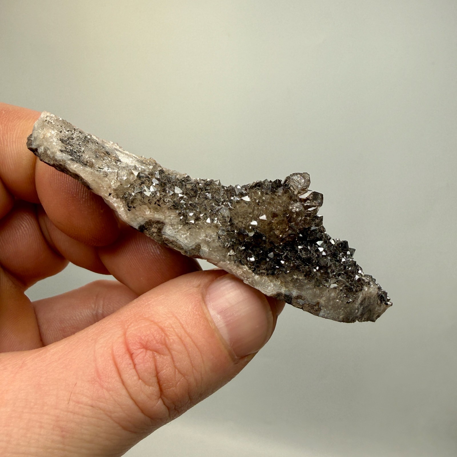 Black Druze with Hydrocarbon Phantom Percher Herkimer Diamonds, Rare Matrix!