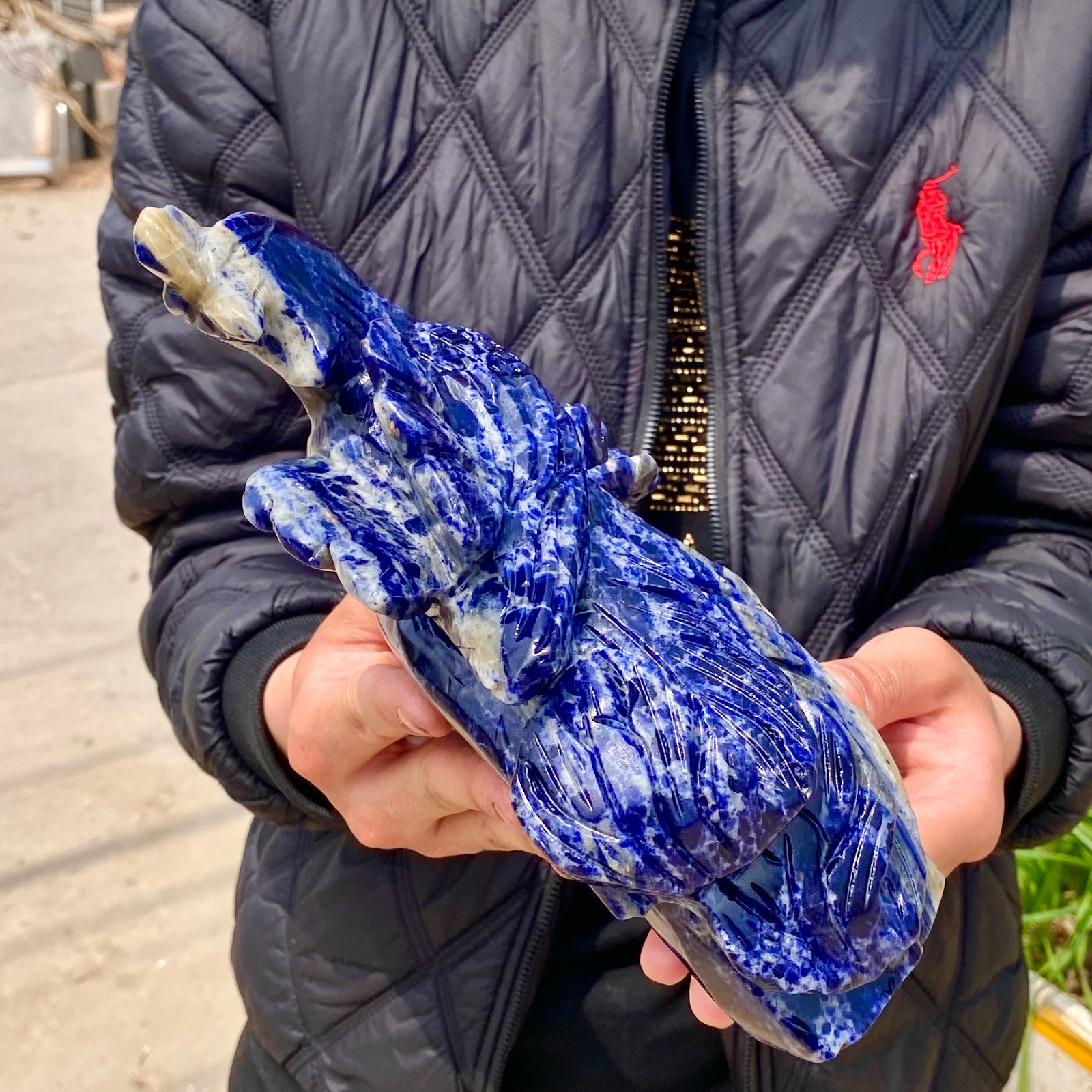 6.1LB Natural Blue Texture Crystal Carving Phoenix Rose Spiritual Energy