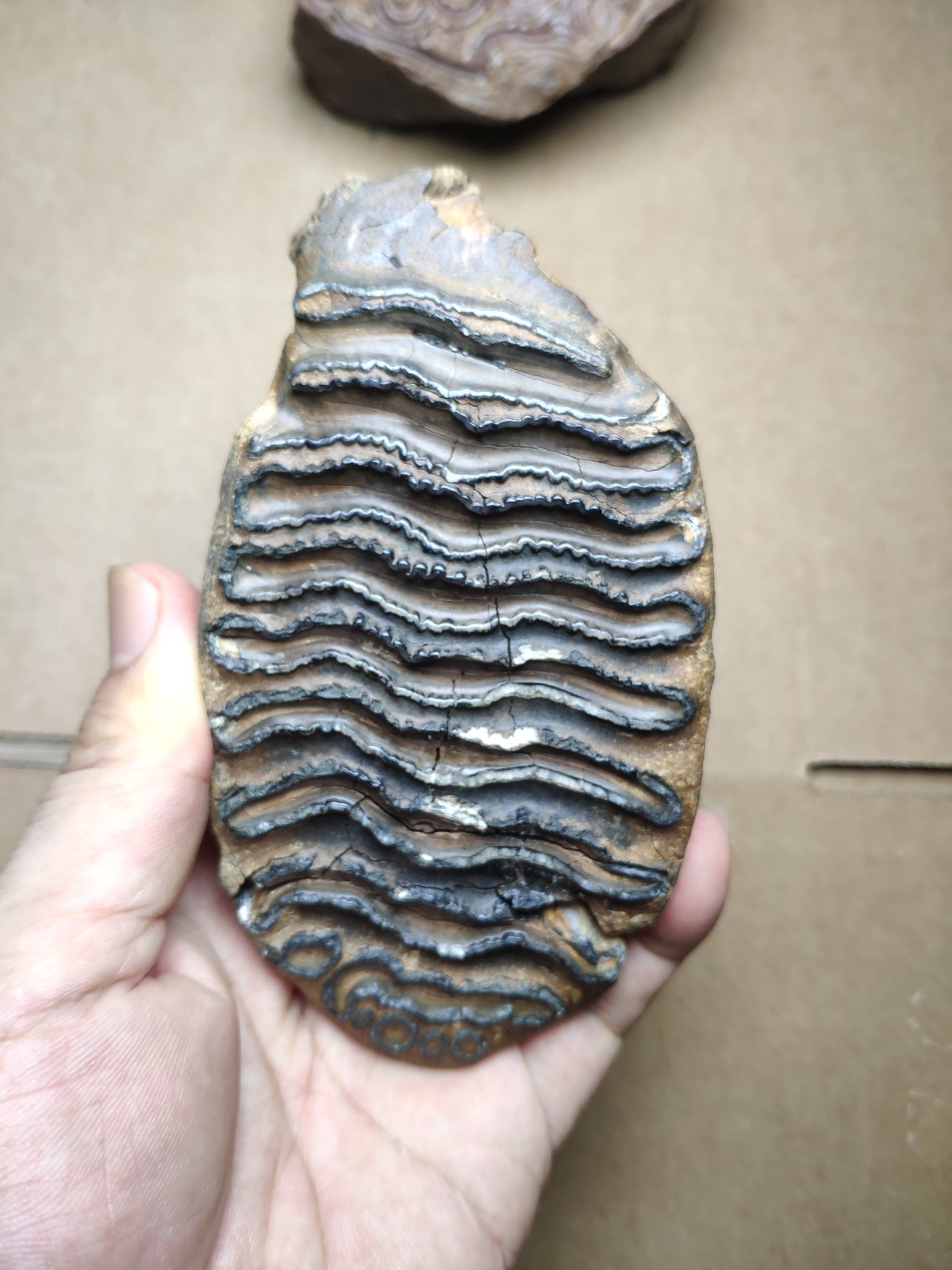 530g Beautiful Clear texture landscape stone
