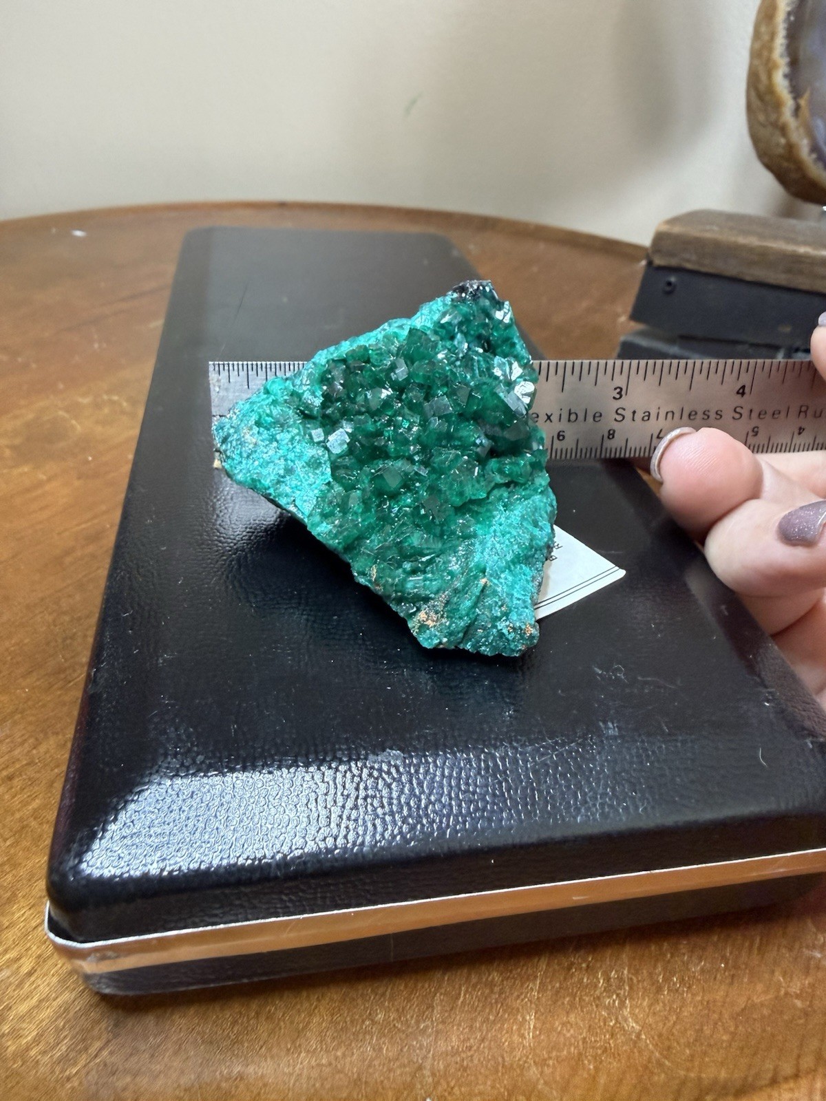84.7g Gem Dioptase Crystal Cluster Mineral Specimen Bouenza Department, Congo