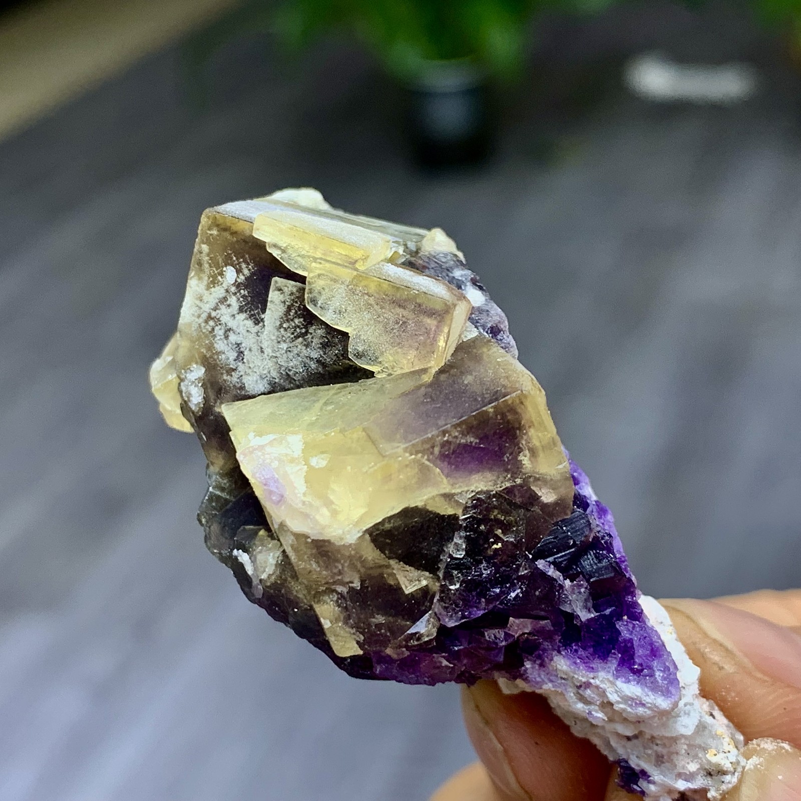 48G Rare transparent purple cubic fluorite mineral crystal sample/China