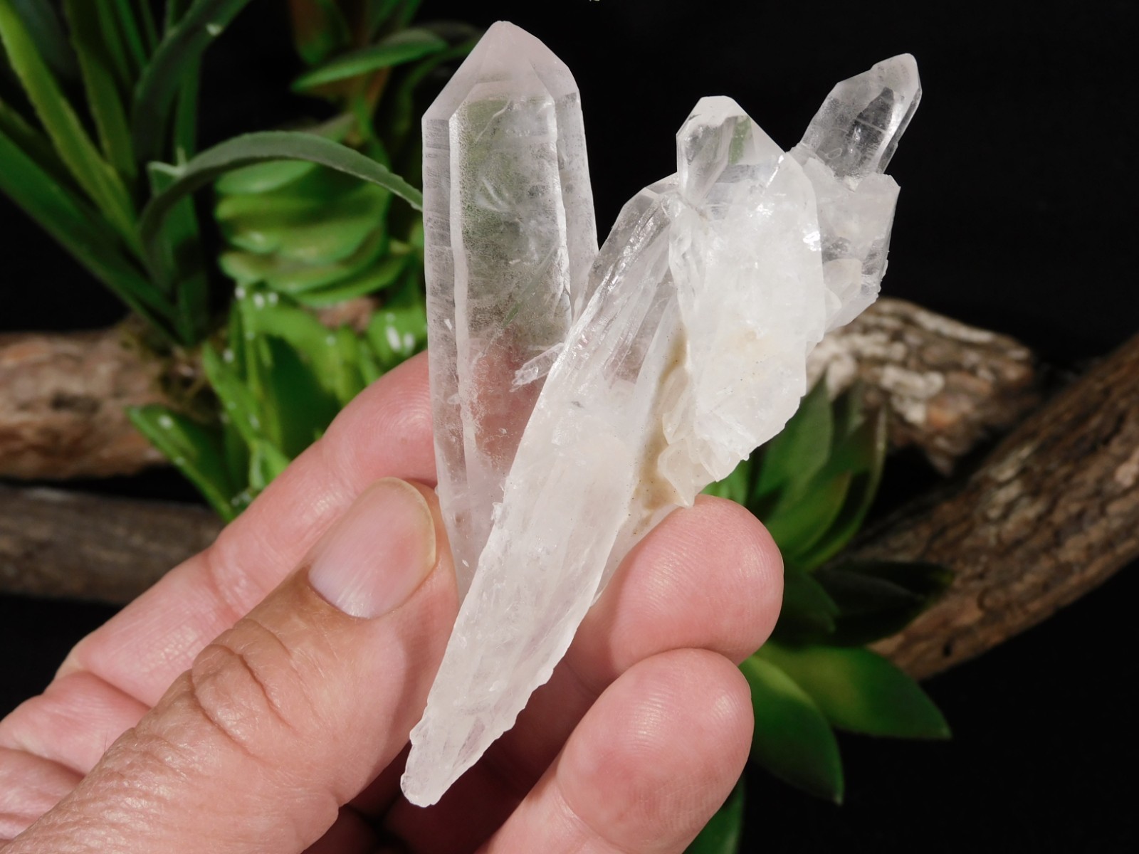 Four Points! Translucent! QUARTZ Crystal Cluster 100% Natural Brazil 70.1gr