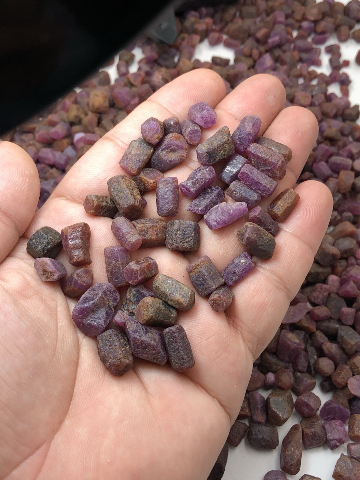 1000 Gram( 1kg)Natural Ruby Crystal Selection Parcels Ready for fancy Jewellery,