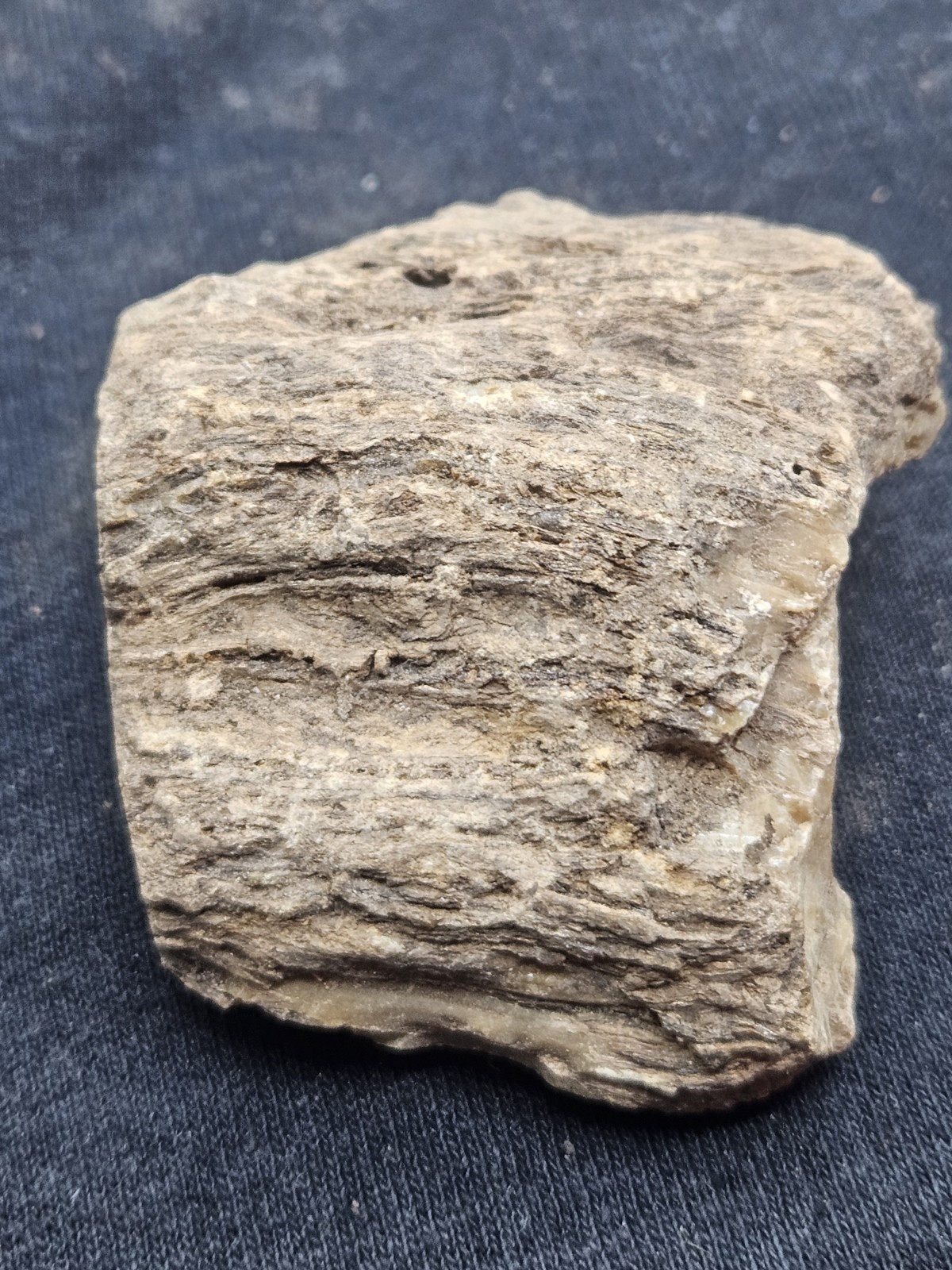 Natural Raw Amber Specimen Rough Unpolished Fossilized Resin Stone Rock