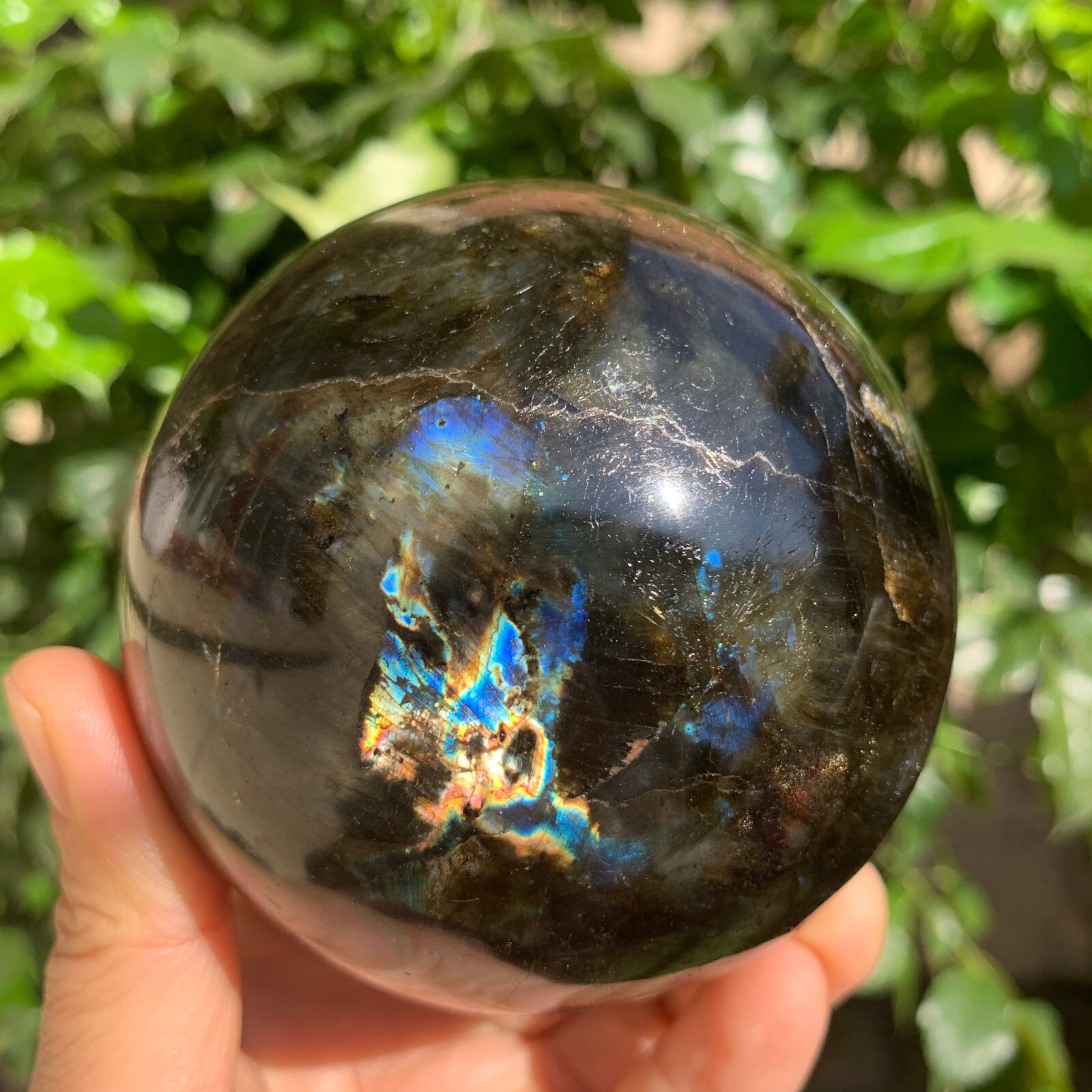 1.92LB Natural gorgeous Labrador ball quartz crystal stone specimen healing