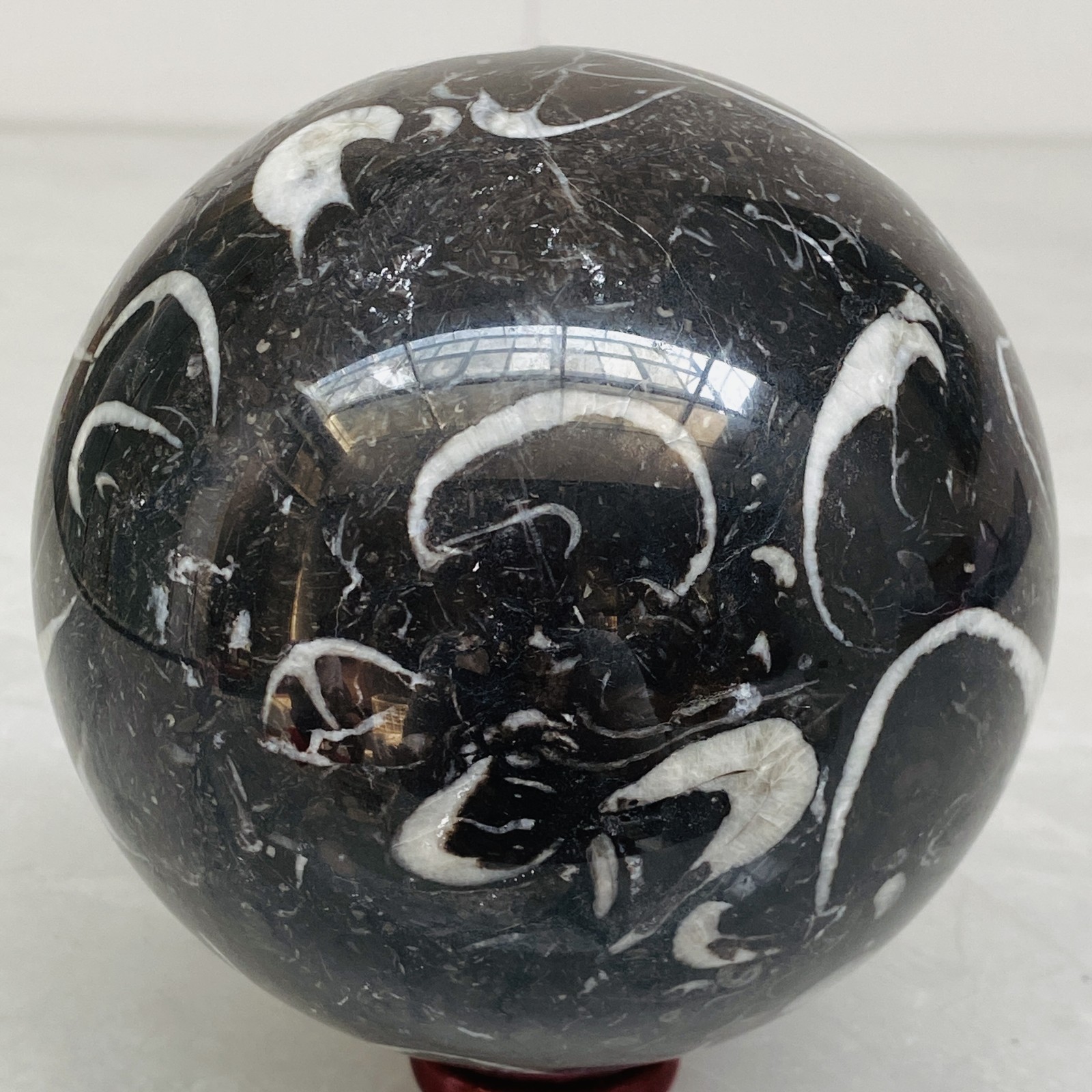 Natural Shell Jasper Thousand Eye Stone Crystal Polished Ball Healing (4.98LB)