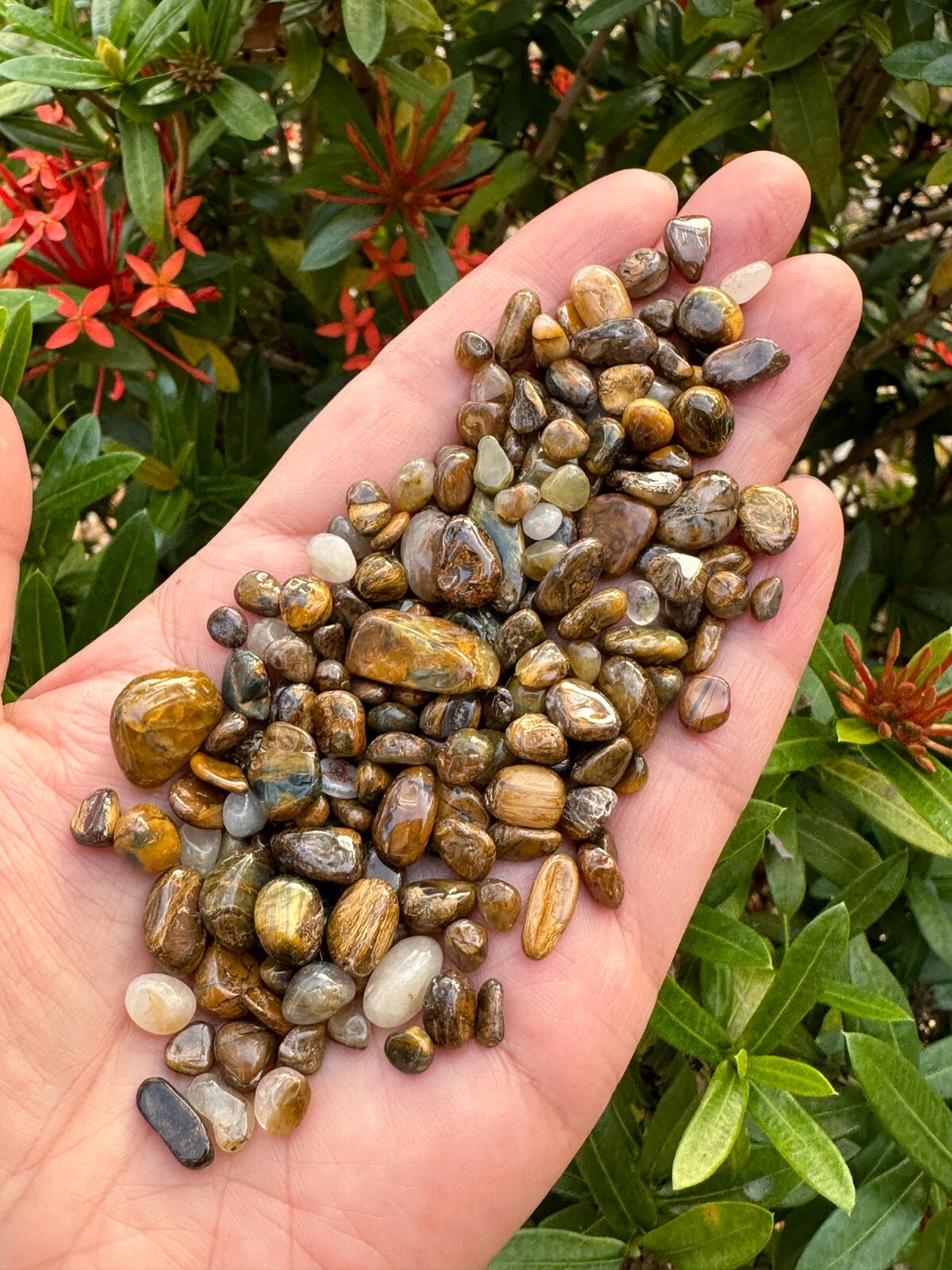 Grade A++ Pietersite Semi Tumbled Gemstone Chips 5-12mm, Wholesale Bulk Lot