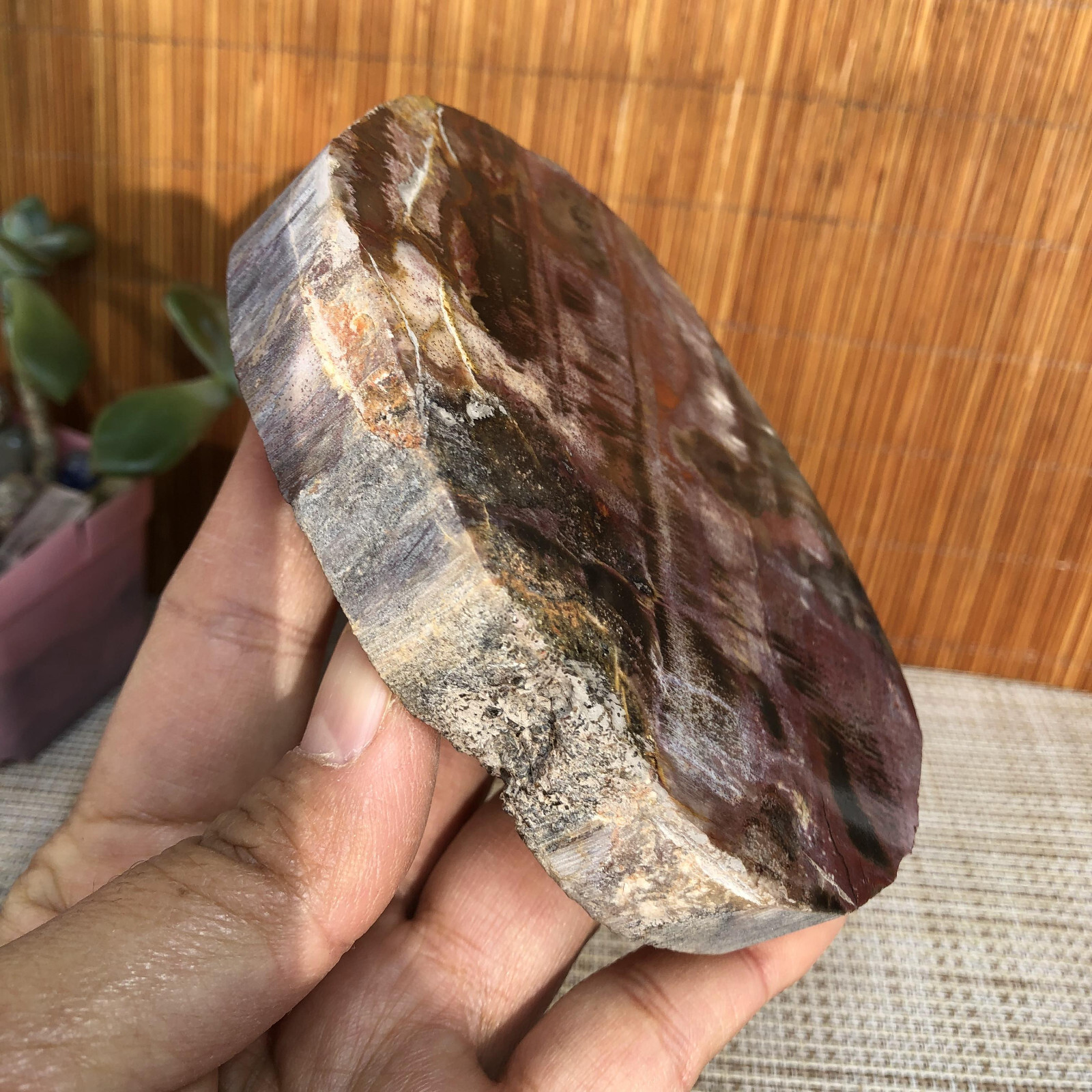 109mm natural Beautiful Petrified Wood Crystal Slice mineral specimen 341g A4860