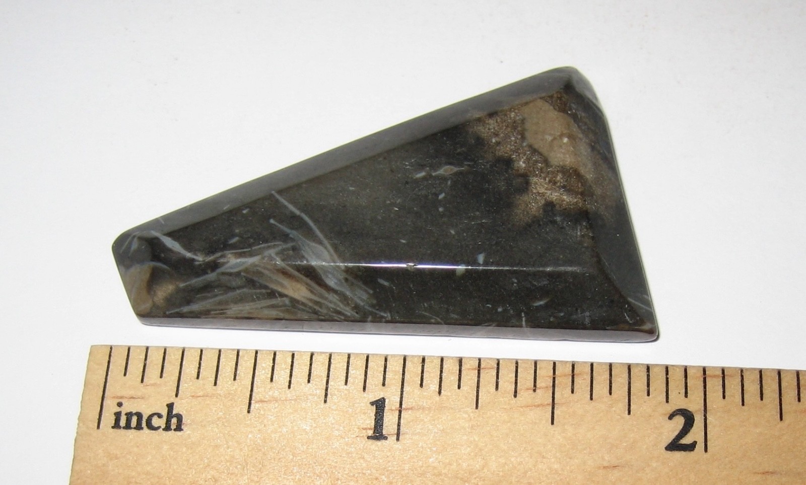 1.8″ x 1″ TUMBLED POLISHED CABOCHON STYLE CUT FOSSIL FORAMINIFERA STONE 12.4g *1