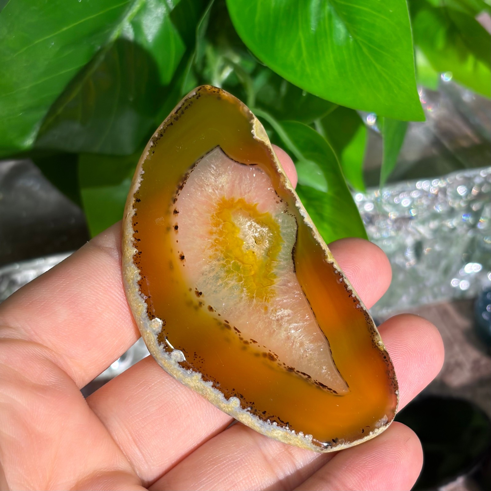Agate Slices Bulk Lot – Random Colors & Shapes – Min 100g Guaranteed