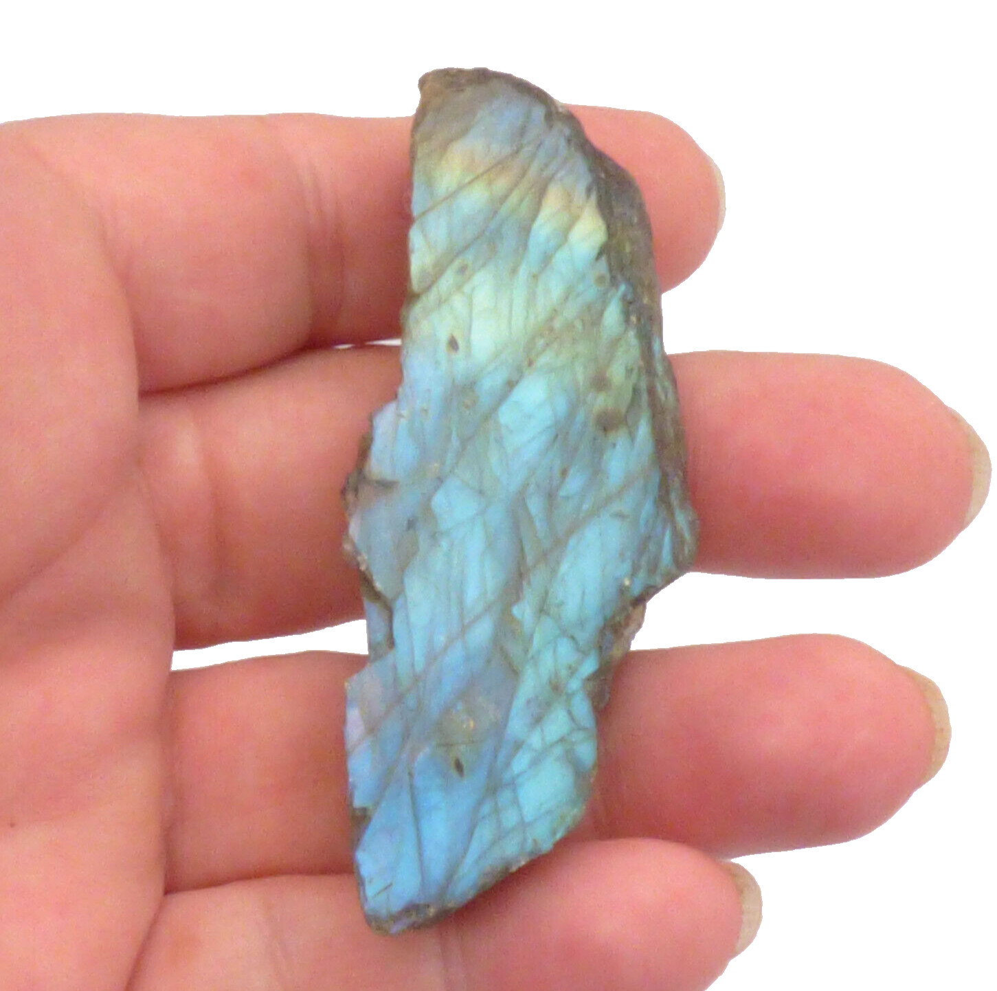 Labradorite Slice Blue Green Flash Iridescent Lustre Semi Polished Piece 7cm