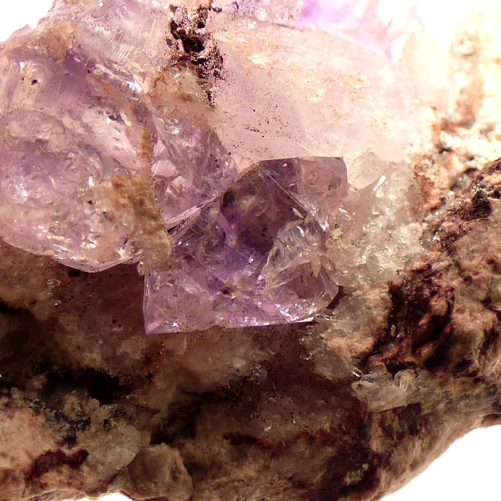 Amethyst Quartz Crystals Sonoran Desert Mexico Mineral Specimen 3.5cm