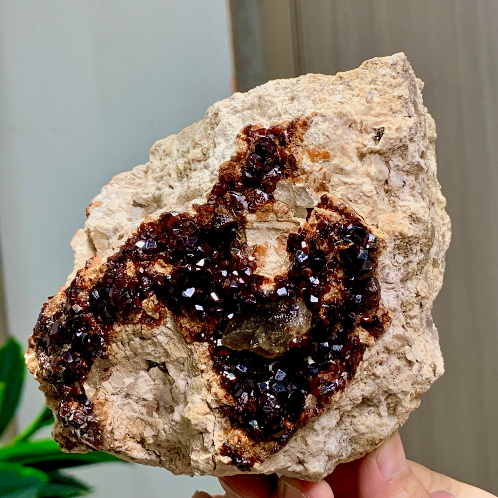 1.92LB Natural Garnet with smokey quartz cluster Crystal Mineral Specimen