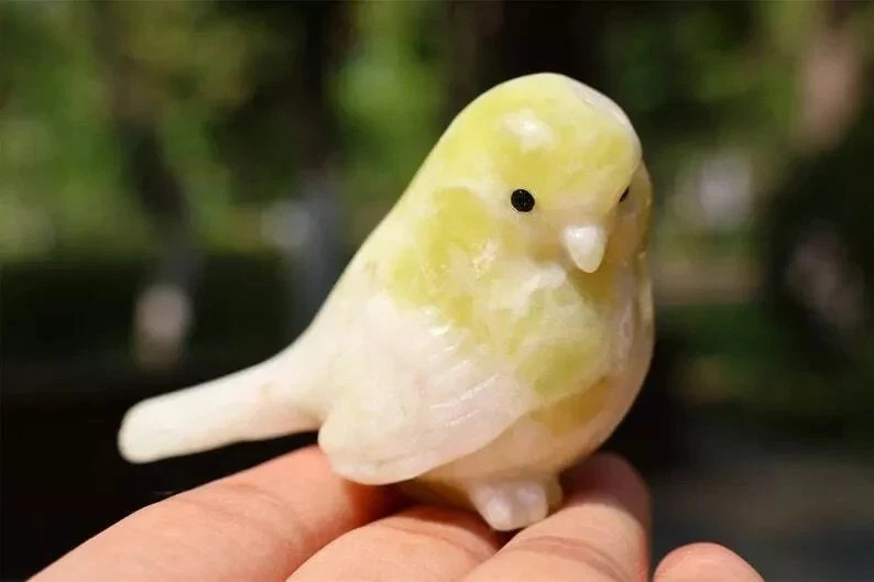 1pc 2.4” Natural Lantian jade Quartz Carved Bird Skull Crystal Reiki Decor Gift