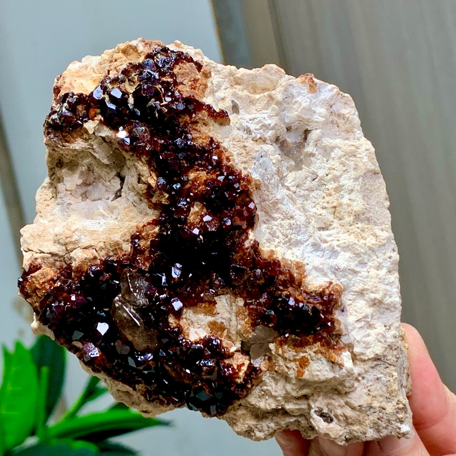 1.92LB Natural Garnet with smokey quartz cluster Crystal Mineral Specimen