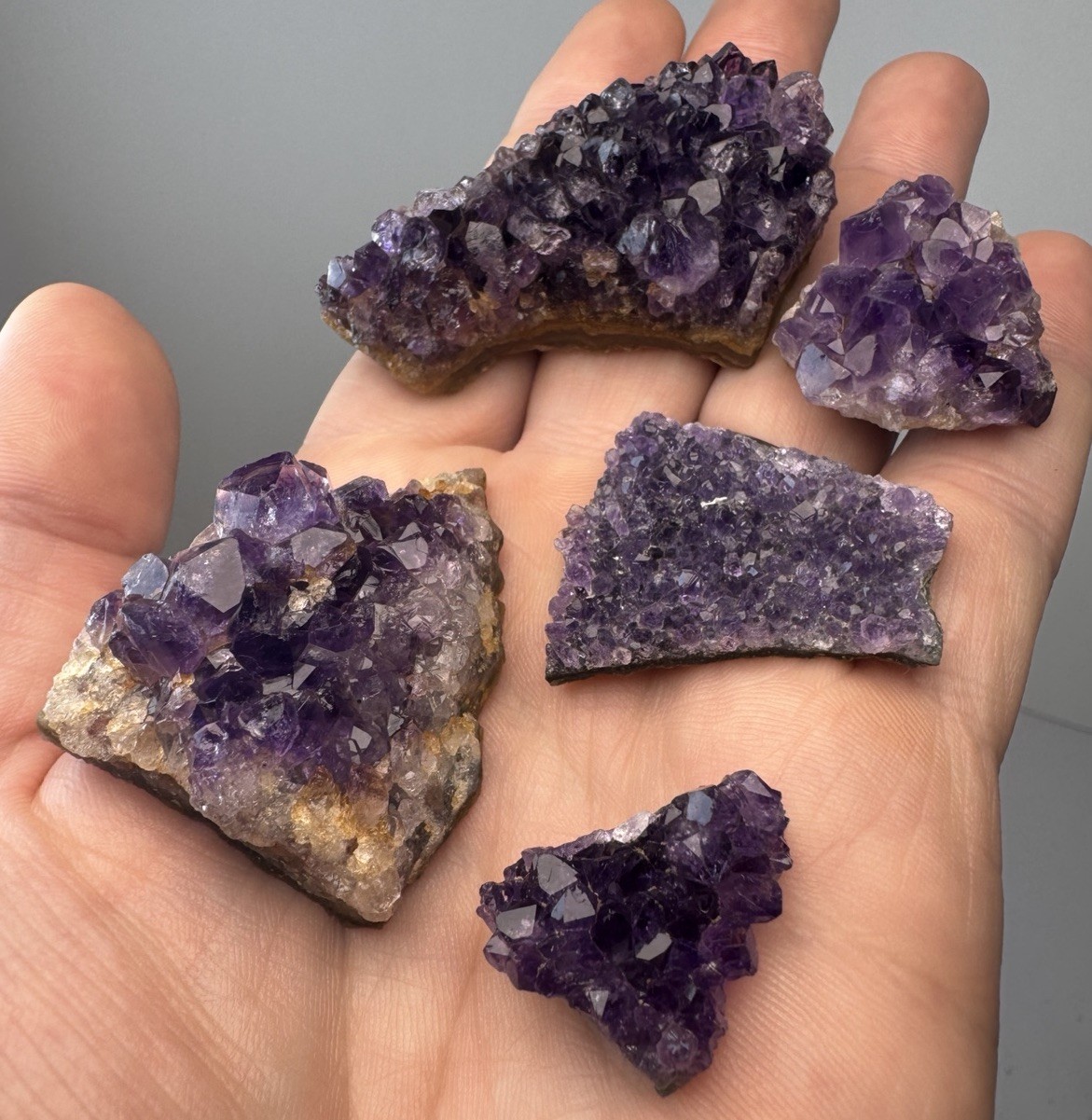 Druzy Deep Royal Purple Amethyst Collector 5 Piece Cluster Set From Brazil