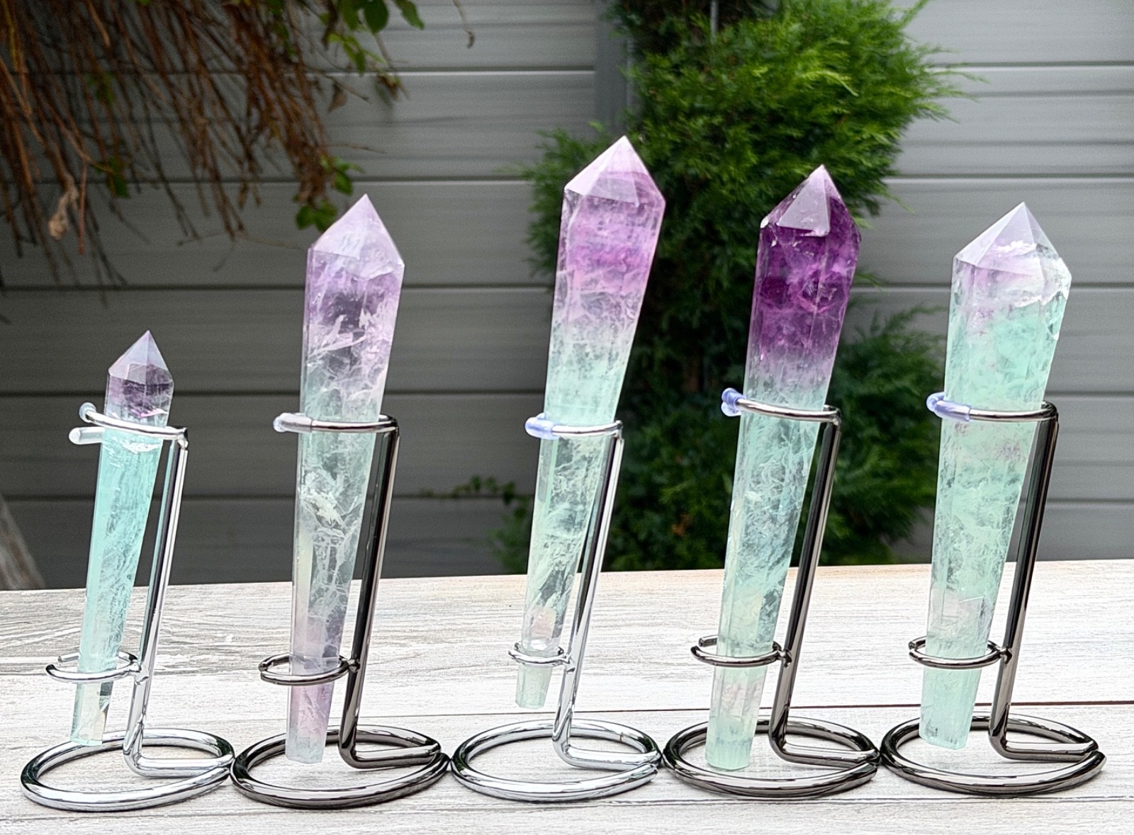 Wholesale 5 PCs Natural watermelon Fluorite Scepter W Stand Crystal Healing