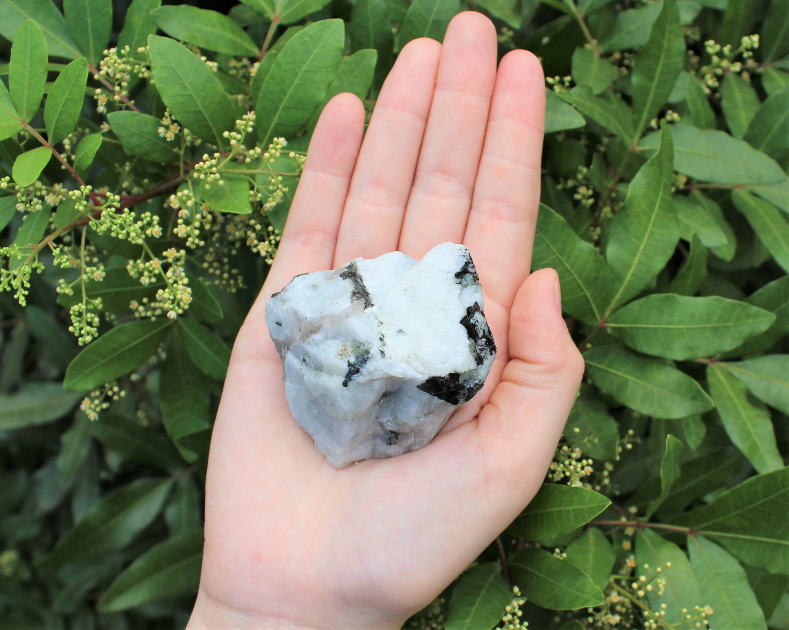LARGE Rough Rainbow Moonstone Chunks, 2″ – 3″ Choose Amount (Raw Jumbo Crystal)