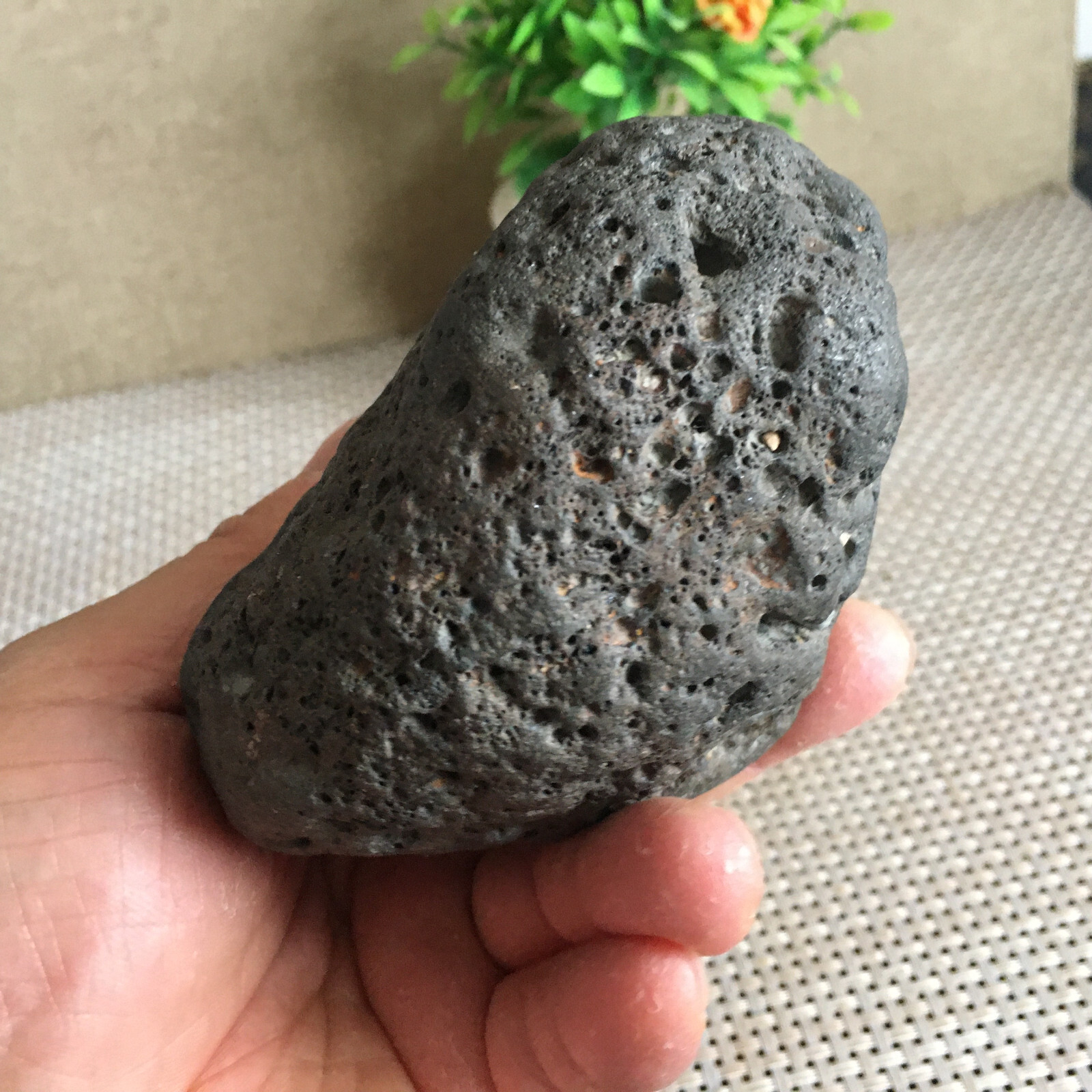 725g Natural Iron nickel Non-magnetic Meteorite Specimen from China B2495