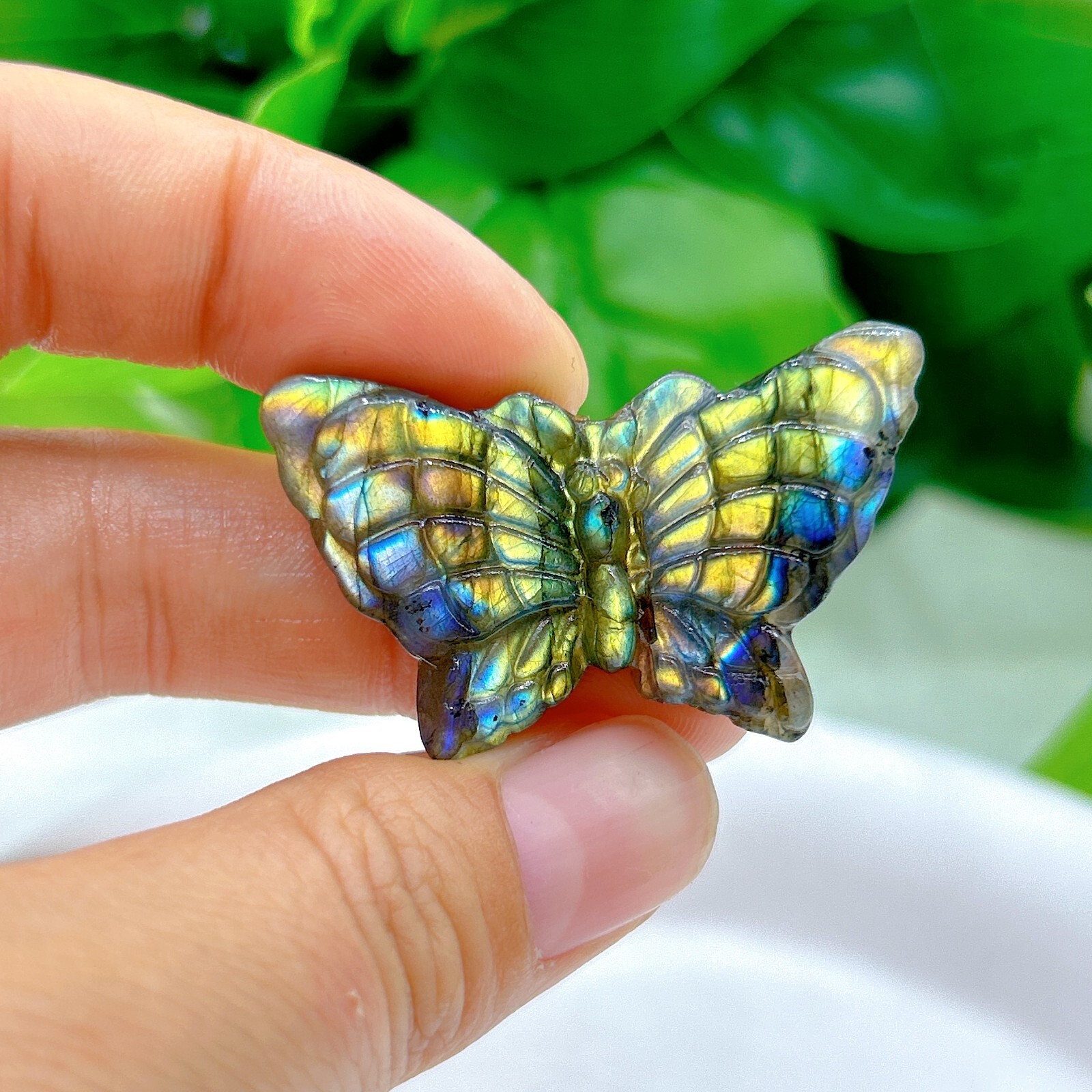 Natural labradorite Butterfly Hand Carved crystal Healing