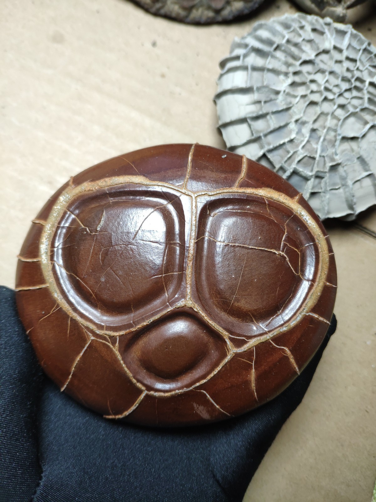 680g beautiful Natural tortoise back pattern stone Landscape stone