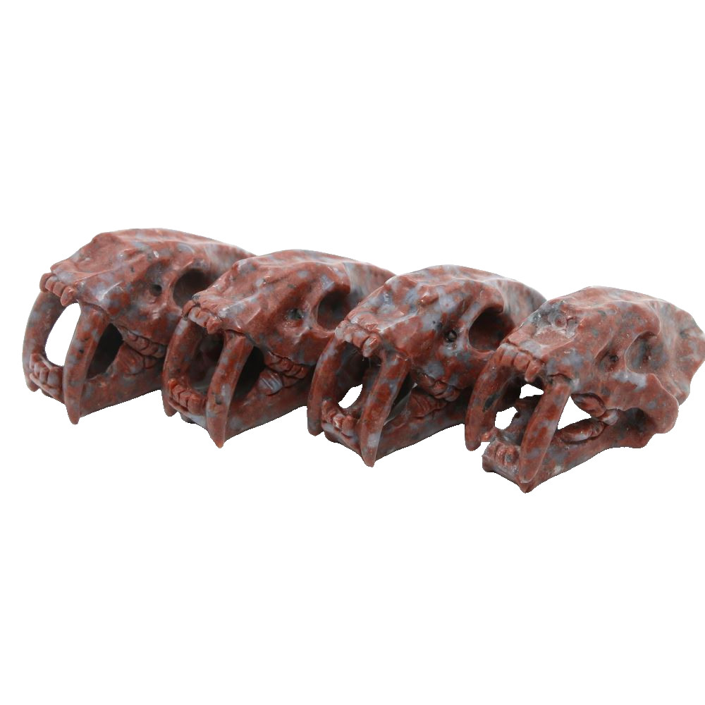 3″ RED WHITE STONE Carved Saber-toothed tiger Crystal Skull Random 1pc