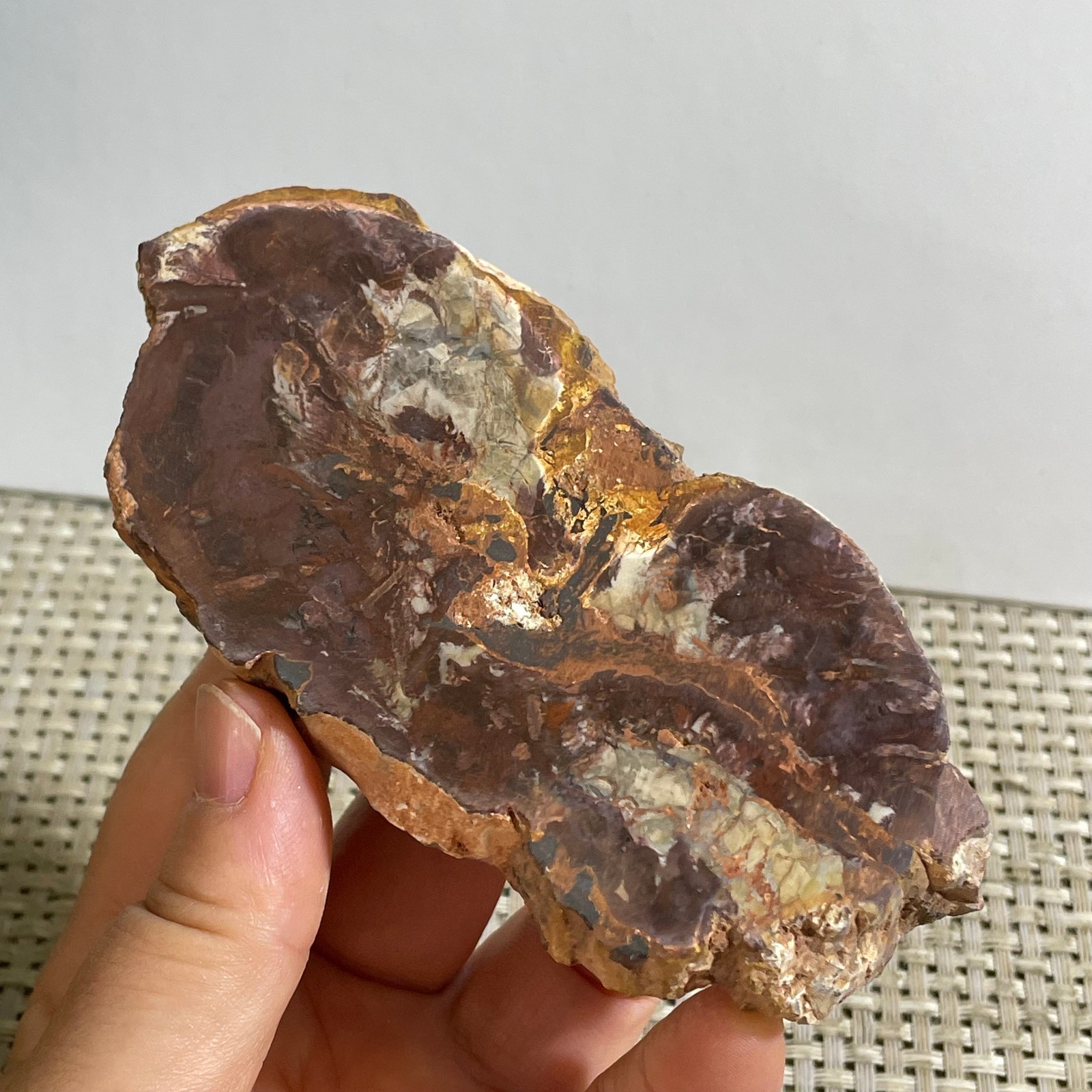 Natural Polished Petrified Wood Crystal Slice Madagascar 175g
