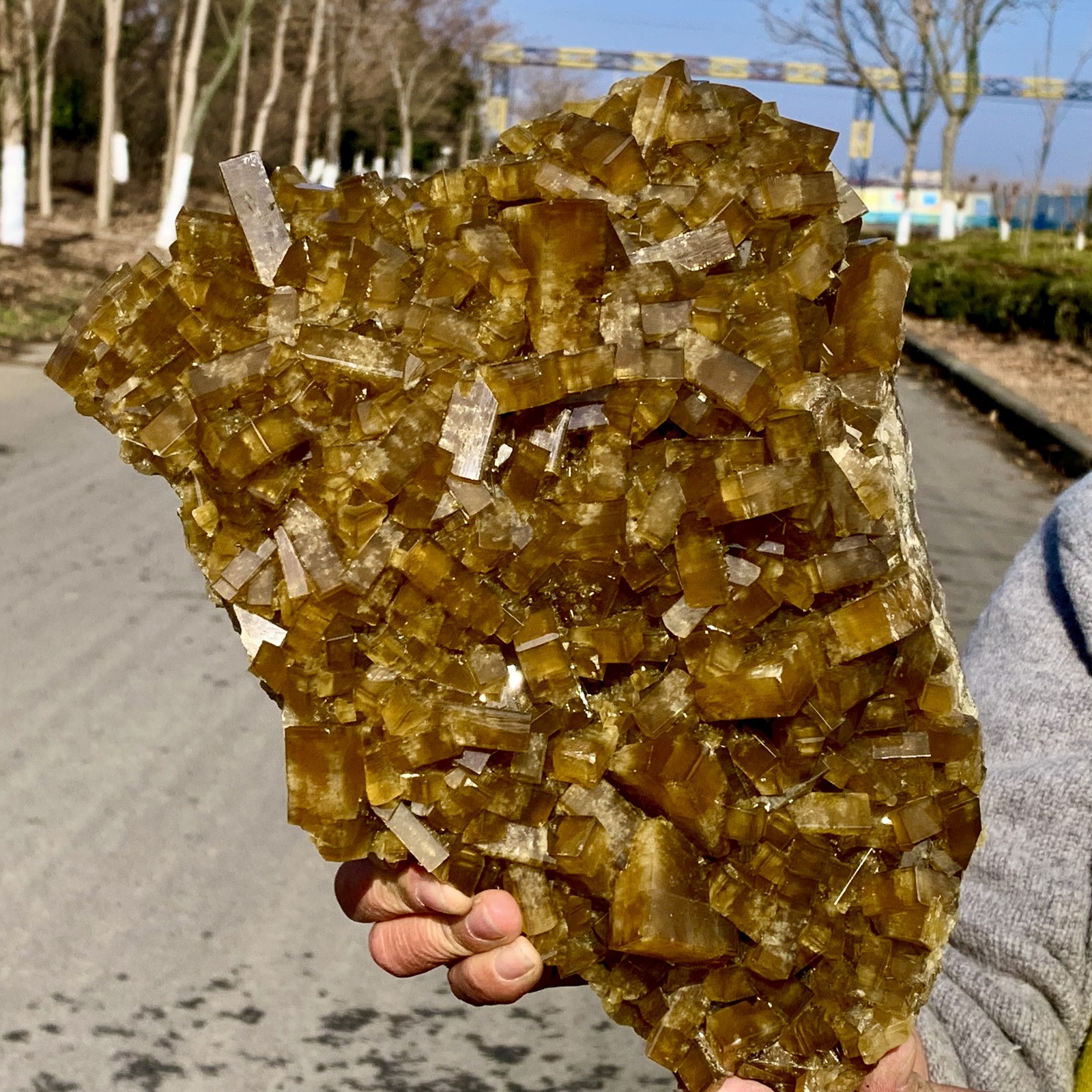16.14LBShiny Golden Cuboid Barite Crystal Based on the Purple Spherical Fluorite