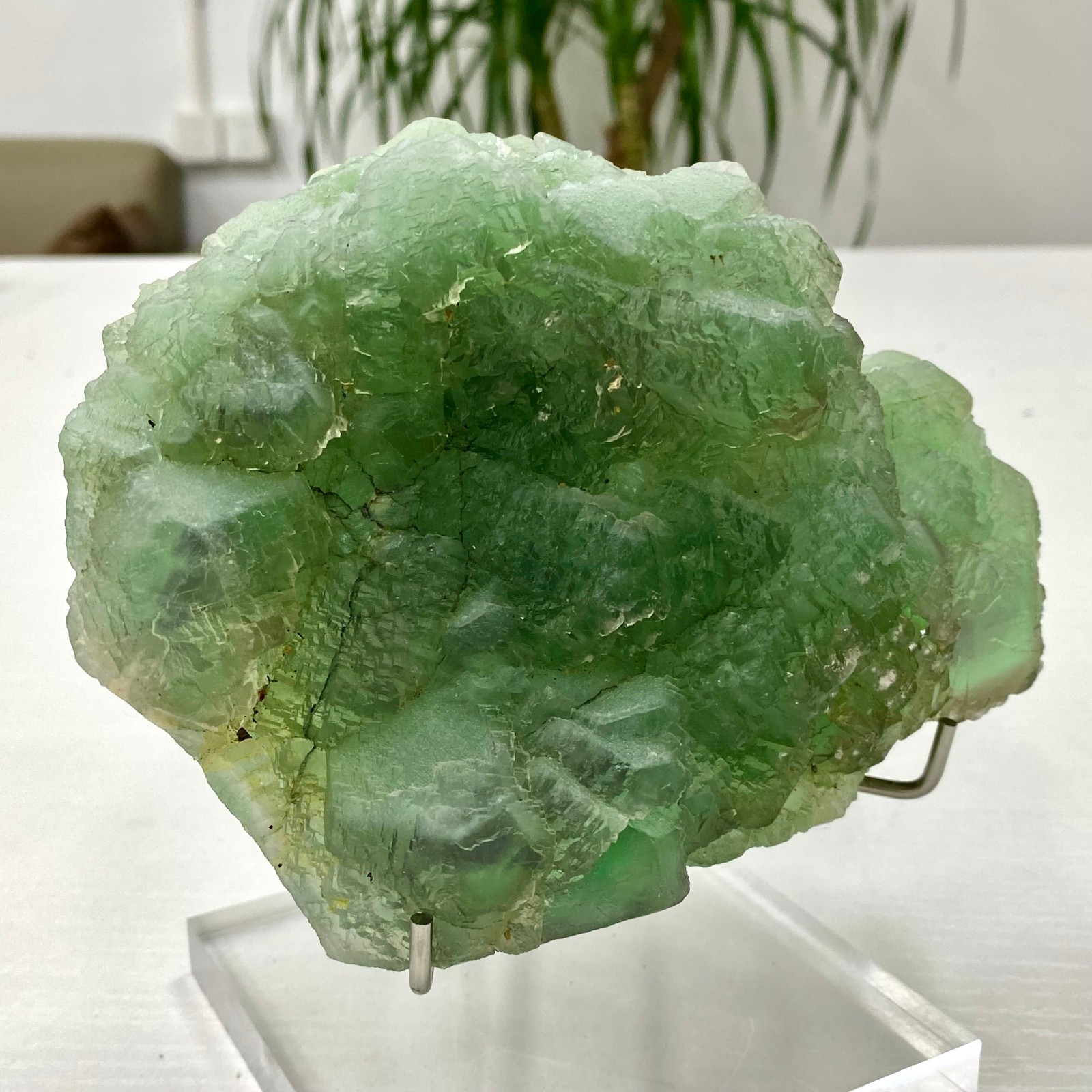 3.64LB Natural transparent green cubic fluorite mineral crystal sample/China