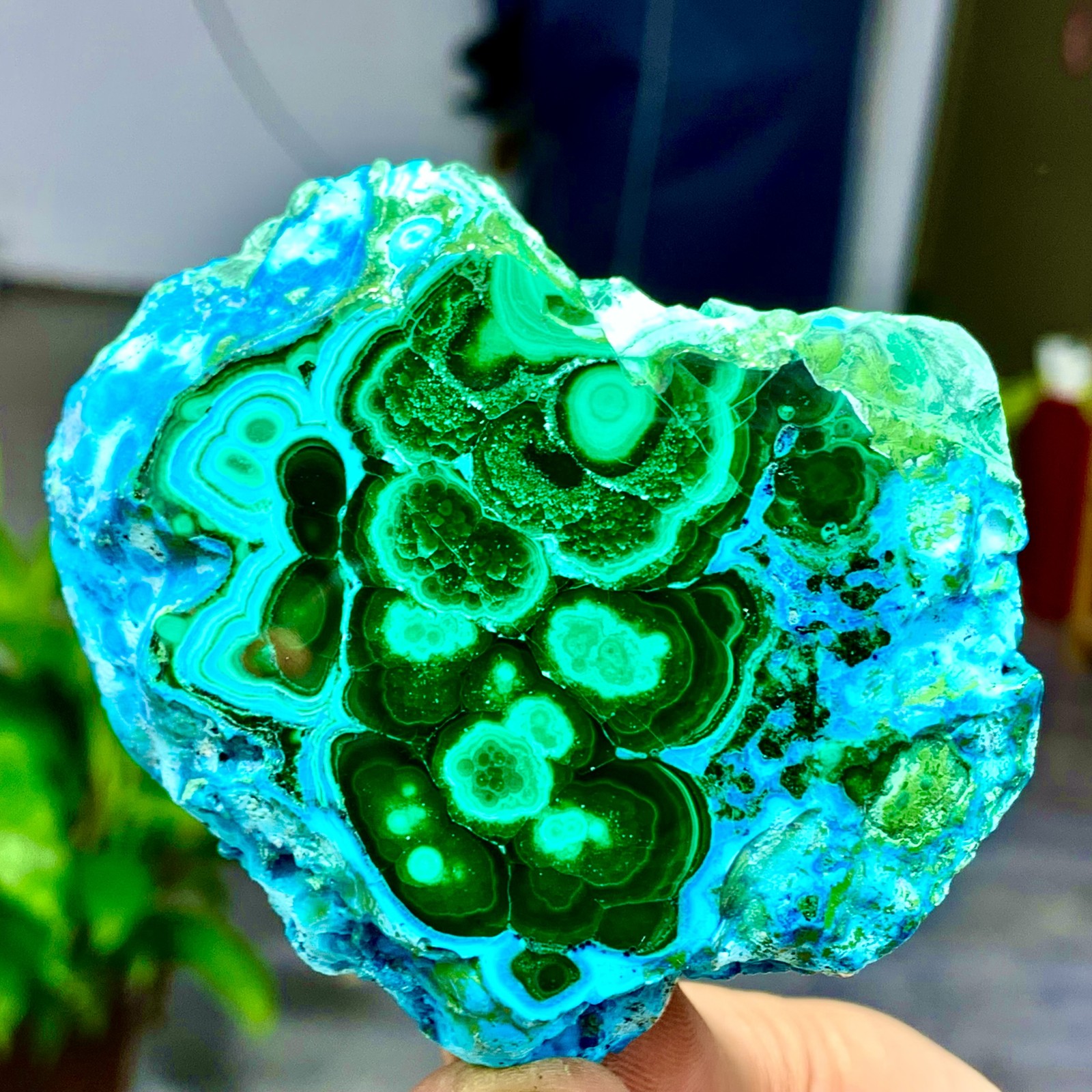 205G Natural Chrysocolla/Malachite transparent cluster rough mineral sample