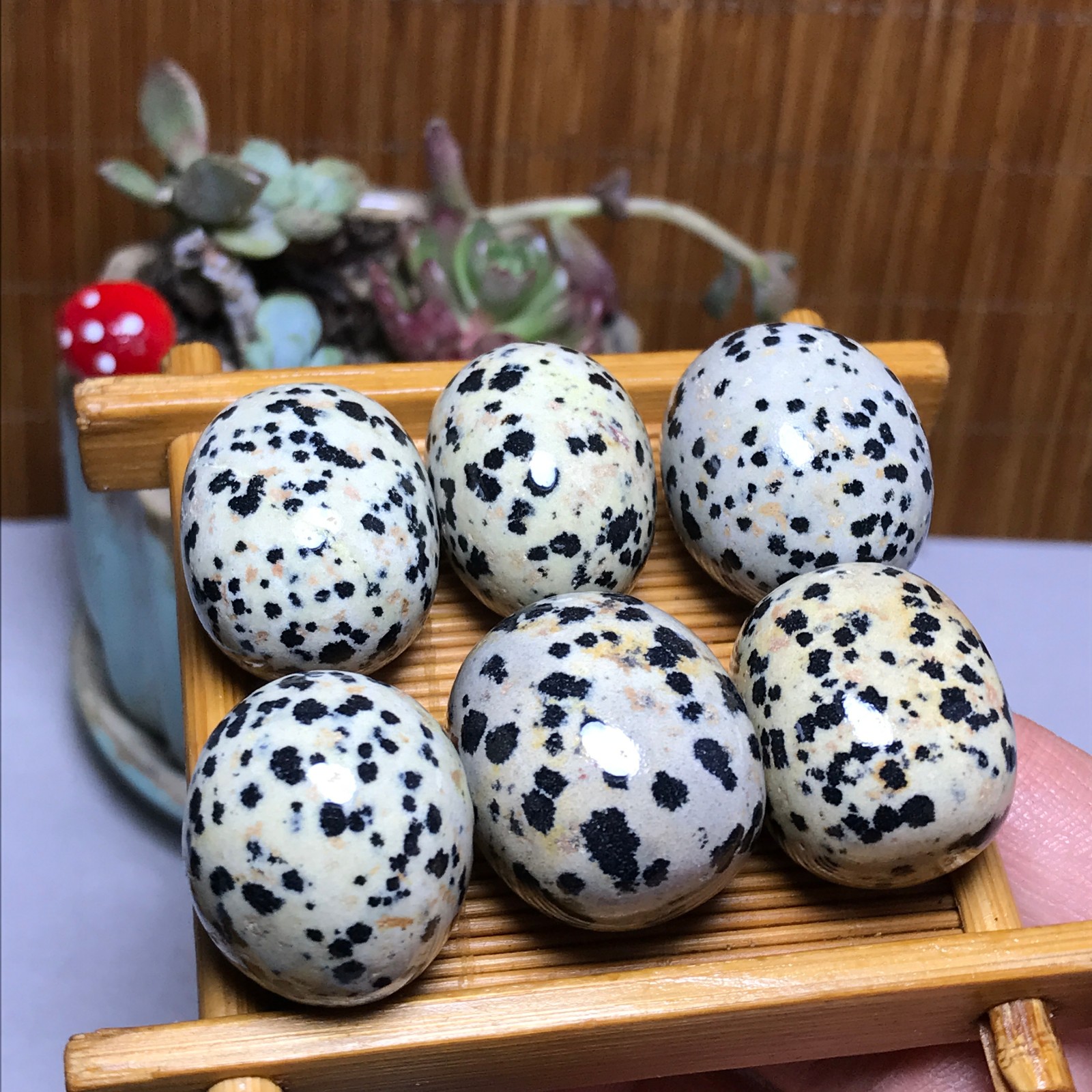 28-22-21mm 6Pcs Natural spotted stone Crystal gemstone Mineral Specimen A4402