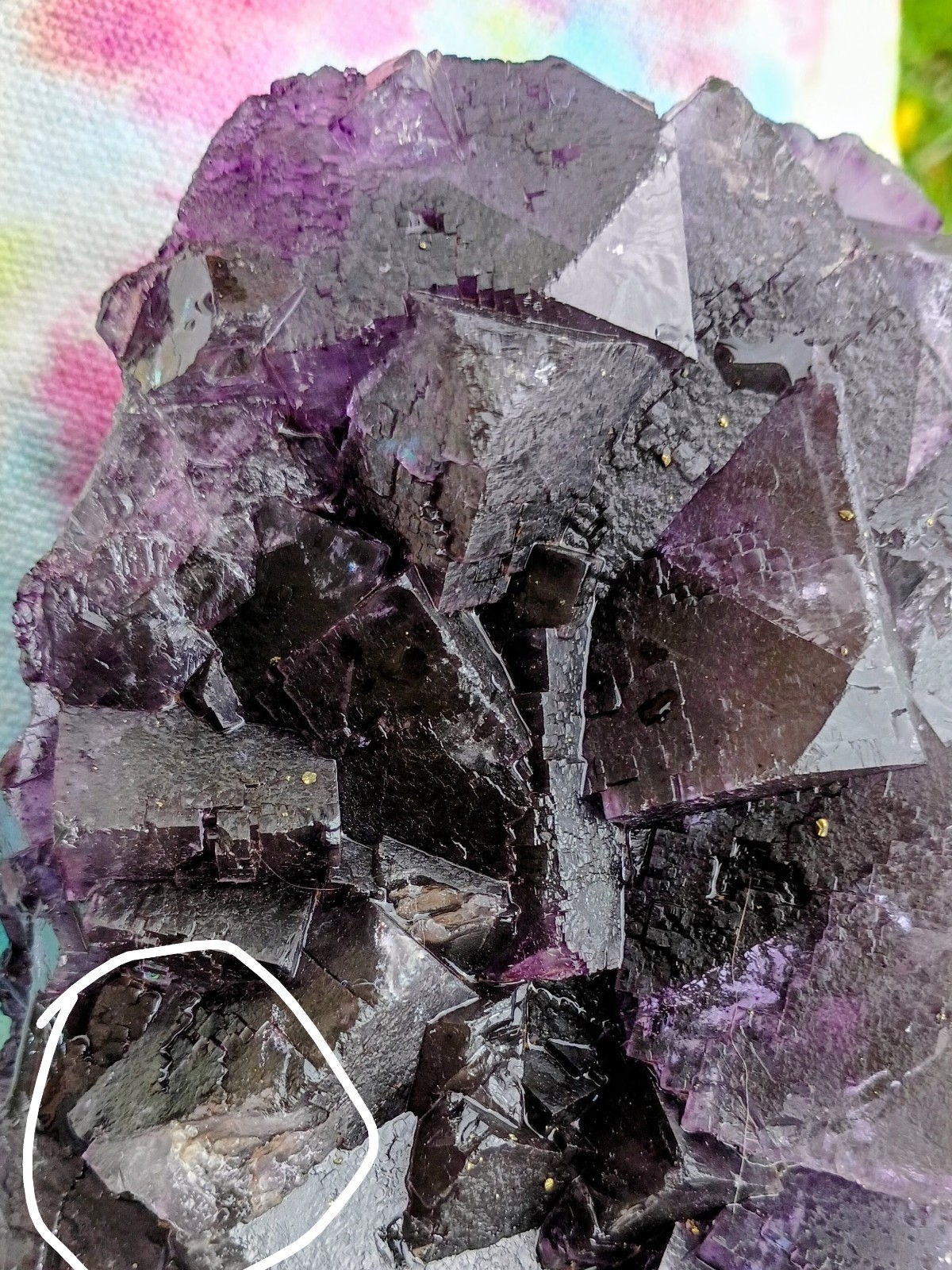 Very Large Purple Fluorite Crystal Cluster Display Specimen