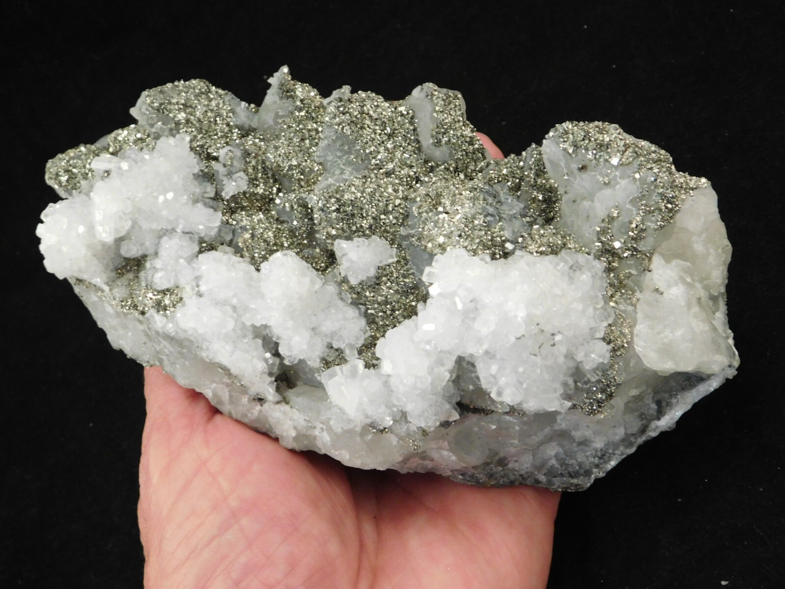 BIG! Pyrite Crystal Cluster on DOGTOOTH Calcite Crystals! From Mexico 1202gr