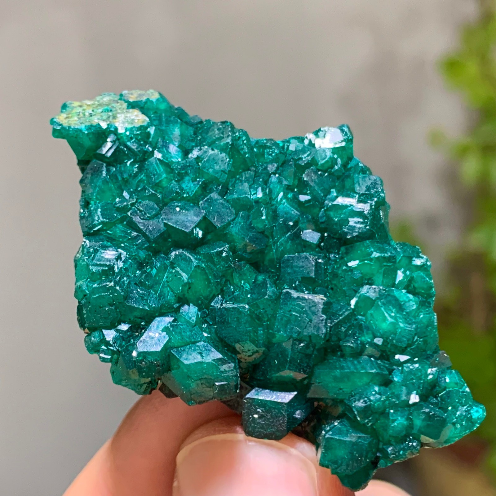 15G Natural green dioptase emerandine gemstone cluster mineral specimen