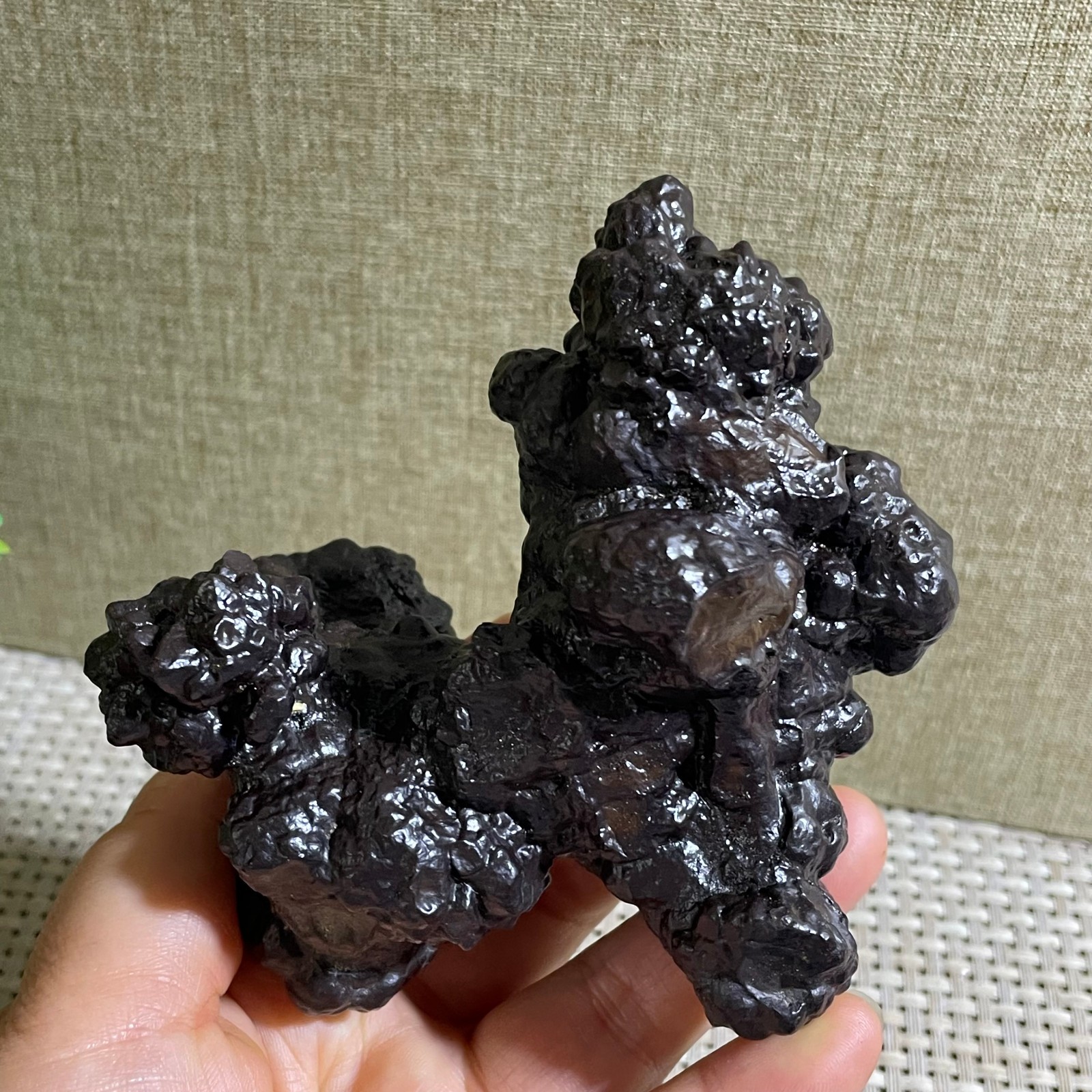 432g Limonite & Hematite pseudomorph after Marcasite Prophecy Rock Stone