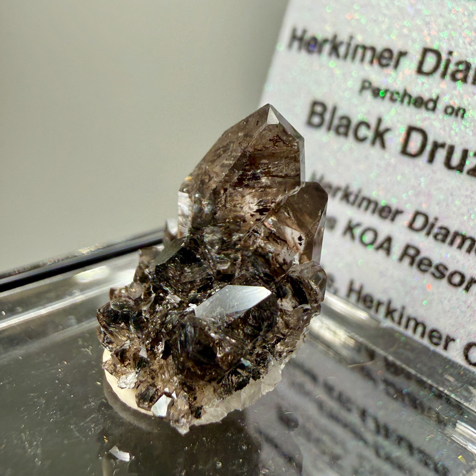 Herkimer Diamond Perched on Rare Black Druze, Gem Points w/ Phantoms