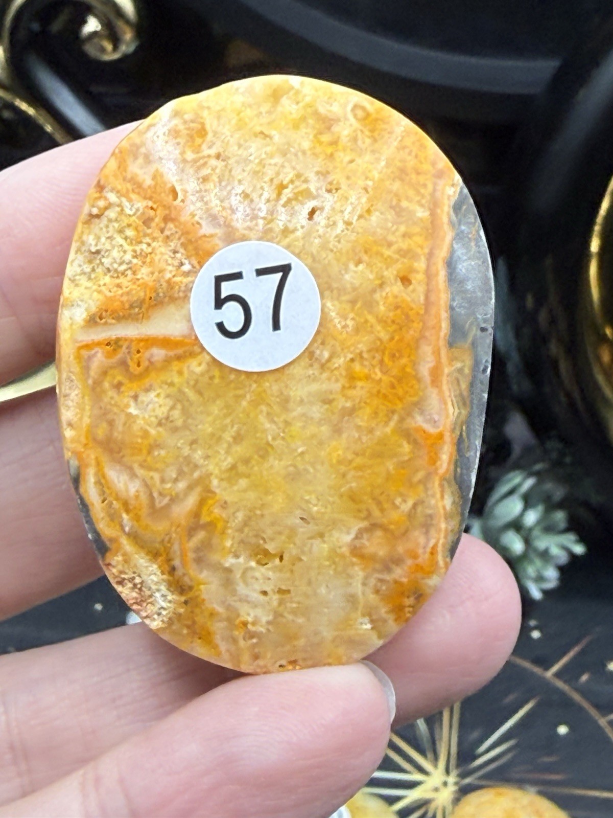 Natural Bumblebee Jasper Palms Druze vugs raw Free shipping