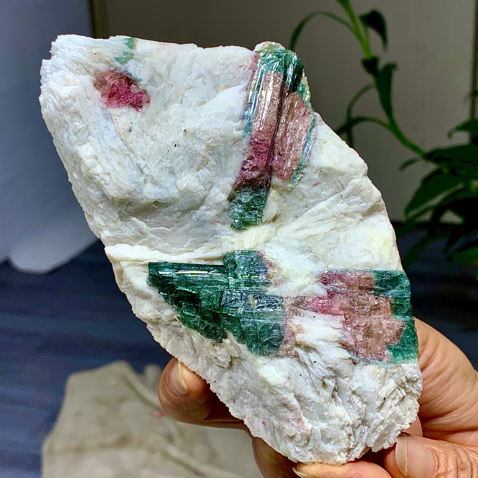 449G Natural pink-green tourmaline quartz crystal cluster mineral specimen