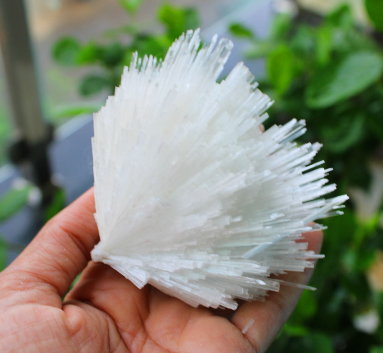 SCOLECITE FORMATION MINERALS SPECIMEN